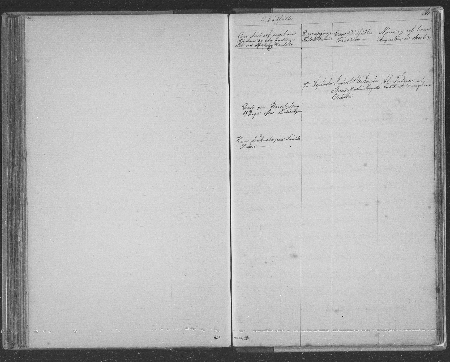 Tysnes sokneprestembete, SAB/A-78601/H/Hab: Parish register (copy) no. E 2, 1875-1897, p. 311