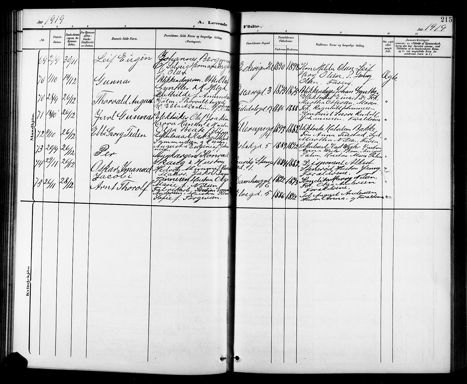 Halden prestekontor Kirkebøker, SAO/A-10909/G/Ga/L0010: Parish register (copy) no. 10, 1900-1923, p. 215