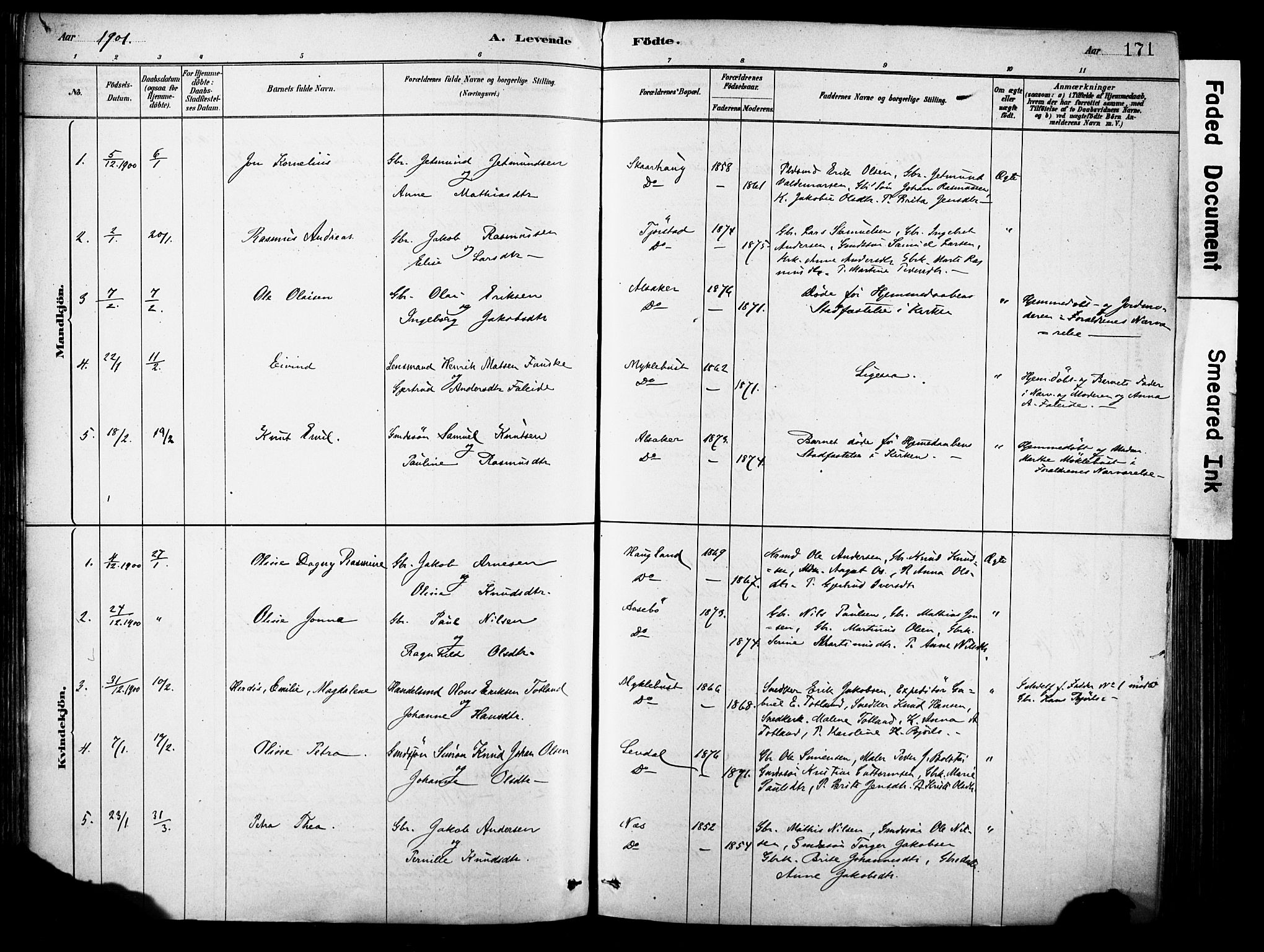Eid sokneprestembete, SAB/A-82301/H/Haa/Haab/L0001: Parish register (official) no. B 1, 1879-1906, p. 171