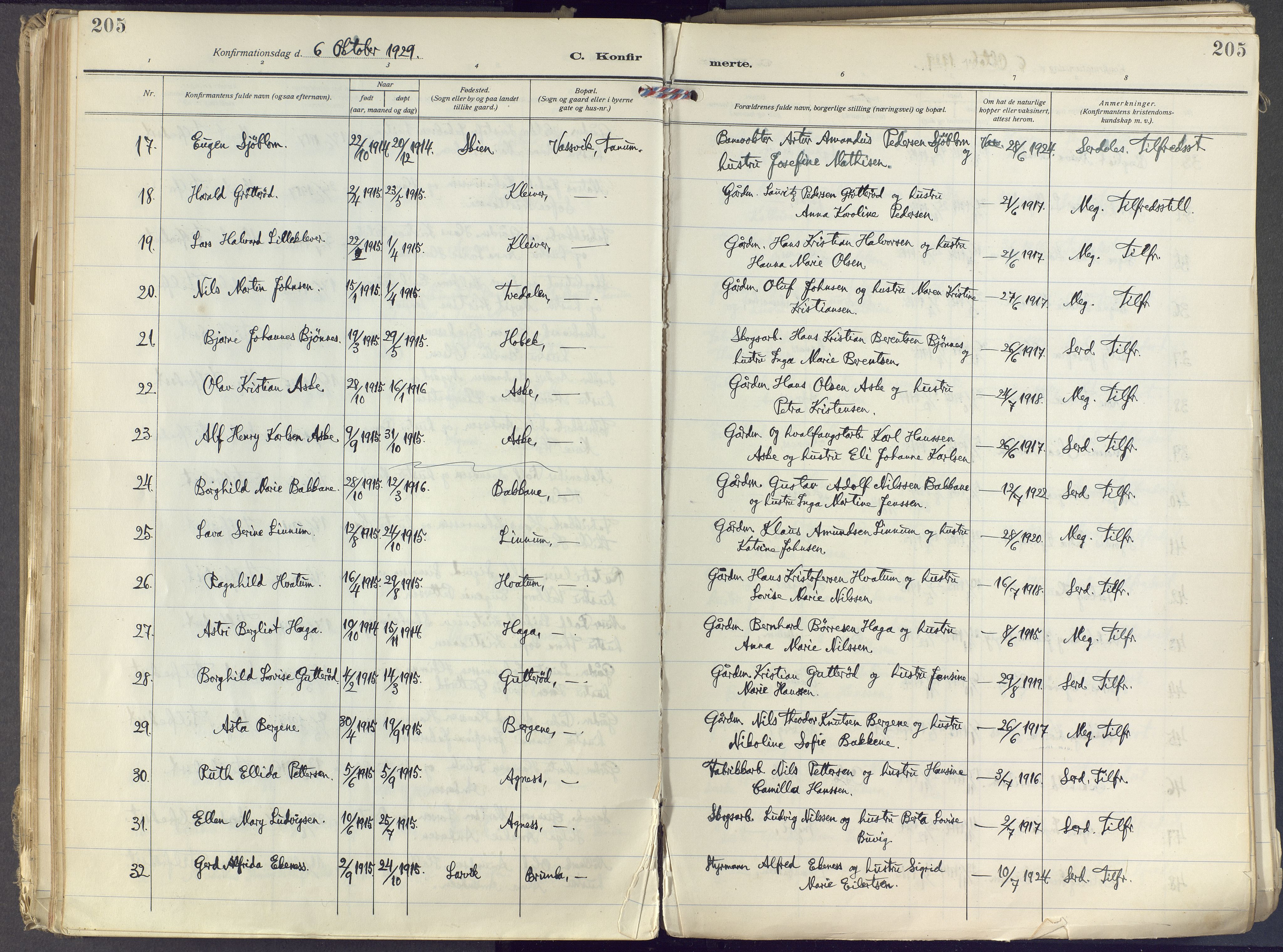 Brunlanes kirkebøker, SAKO/A-342/F/Fc/L0004: Parish register (official) no. III 4, 1923-1943, p. 205