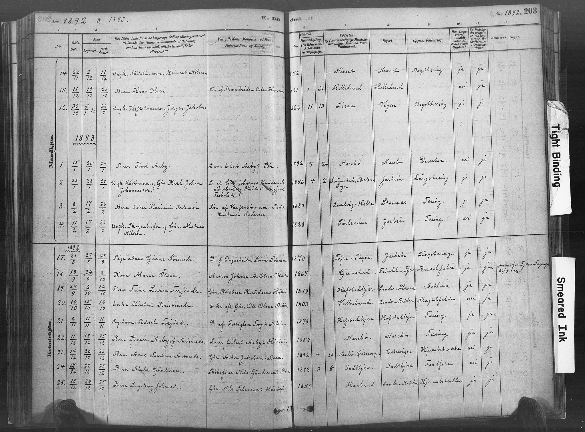 Hommedal sokneprestkontor, AV/SAK-1111-0023/F/Fa/Fab/L0006: Parish register (official) no. A 6, 1878-1897, p. 202