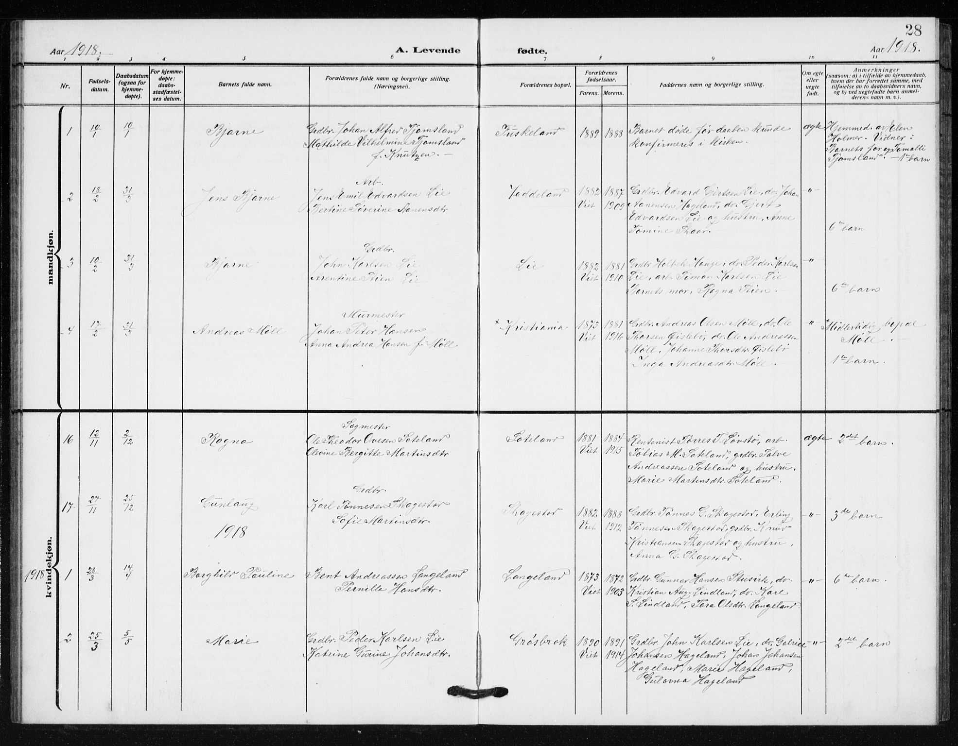 Holum sokneprestkontor, SAK/1111-0022/F/Fb/Fba/L0006: Parish register (copy) no. B 6, 1910-1936, p. 28