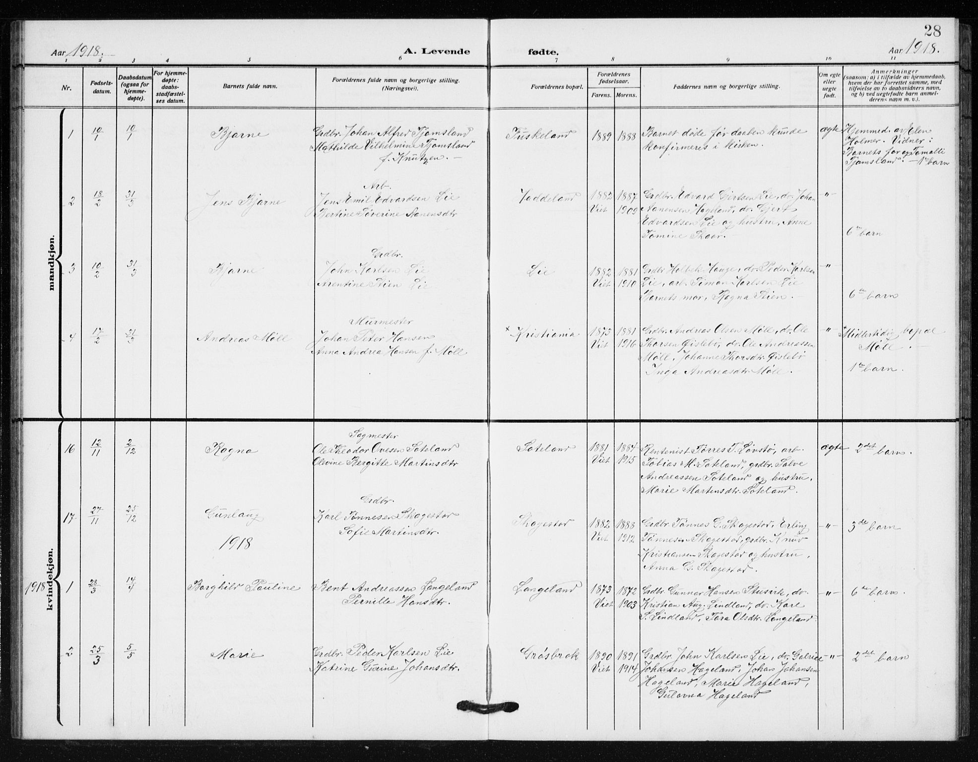 Holum sokneprestkontor, AV/SAK-1111-0022/F/Fb/Fba/L0006: Parish register (copy) no. B 6, 1910-1936, p. 28