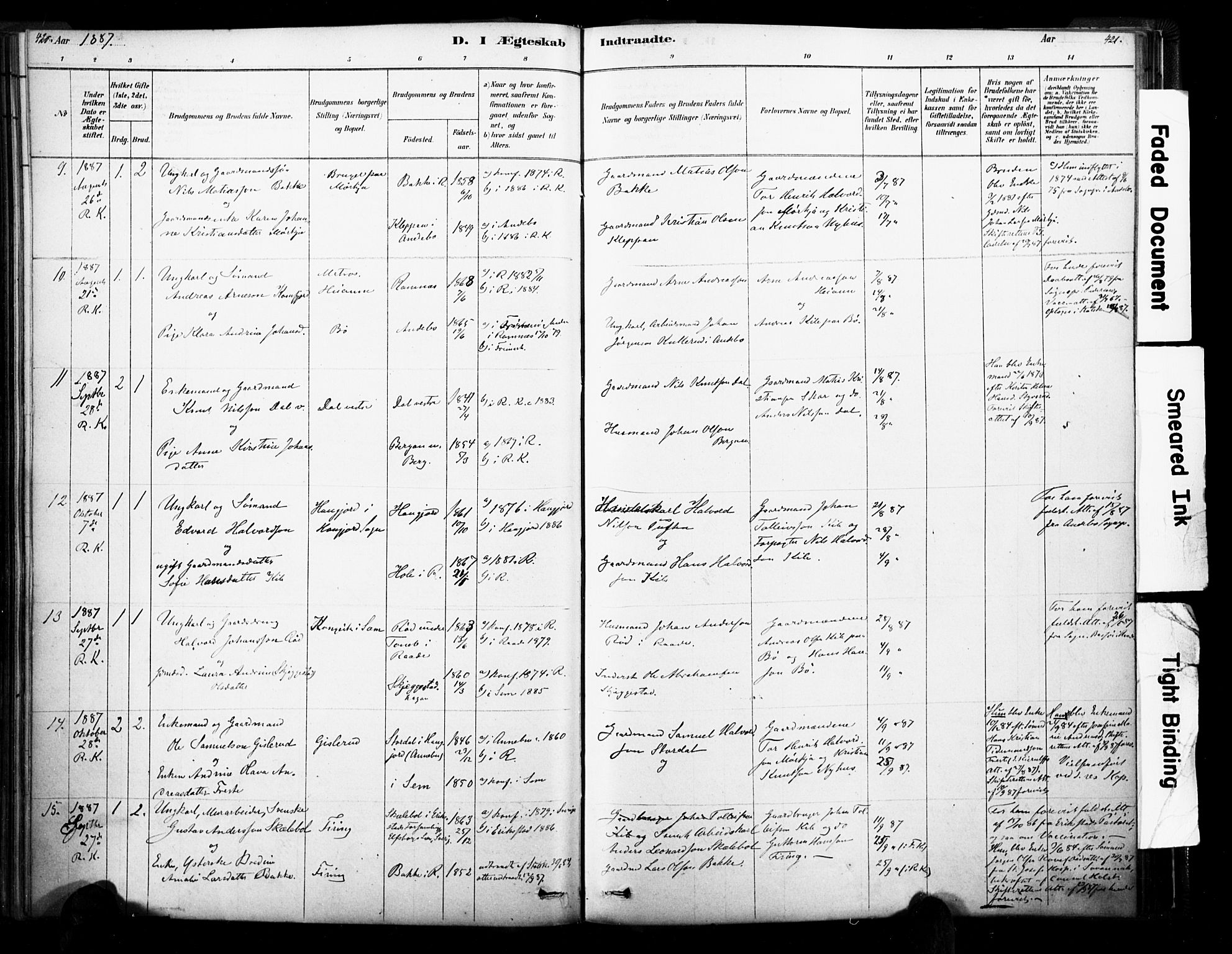 Ramnes kirkebøker, SAKO/A-314/F/Fa/L0007: Parish register (official) no. I 7, 1878-1895, p. 420-421