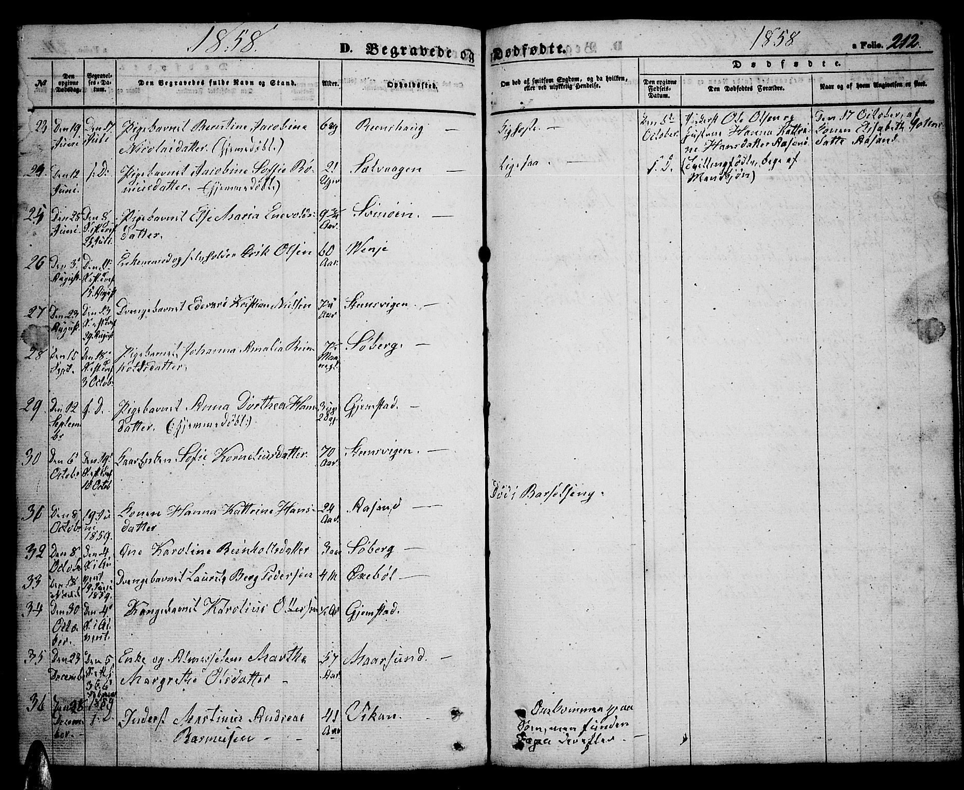 Ministerialprotokoller, klokkerbøker og fødselsregistre - Nordland, SAT/A-1459/891/L1313: Parish register (copy) no. 891C02, 1856-1870, p. 212