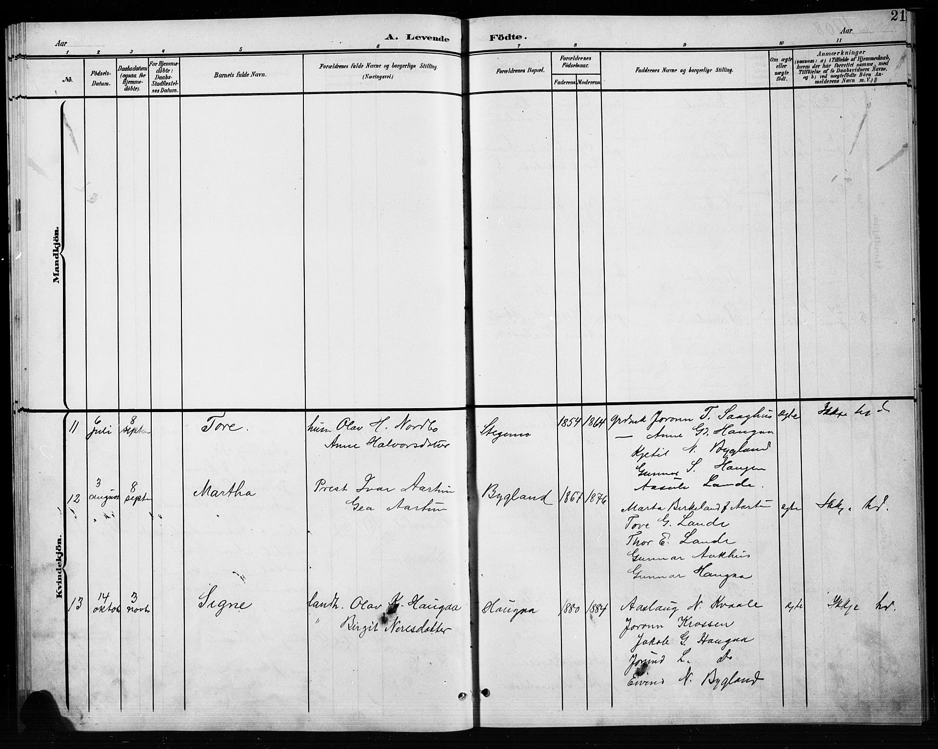 Bygland sokneprestkontor, AV/SAK-1111-0006/F/Fb/Fbb/L0004: Parish register (copy) no. B 4, 1902-1920, p. 21