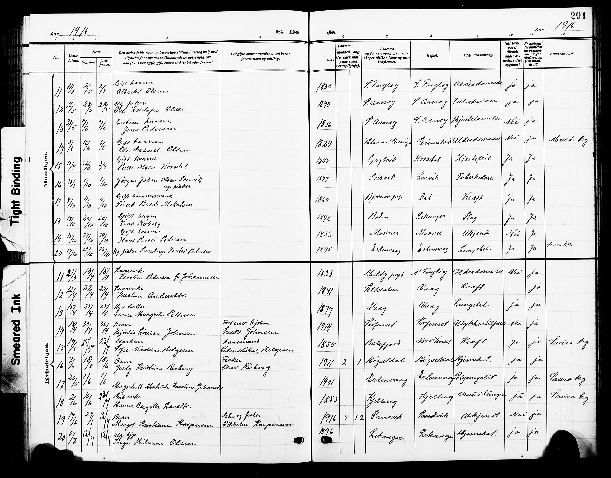 Ministerialprotokoller, klokkerbøker og fødselsregistre - Nordland, AV/SAT-A-1459/805/L0110: Parish register (copy) no. 805C06, 1909-1924, p. 291