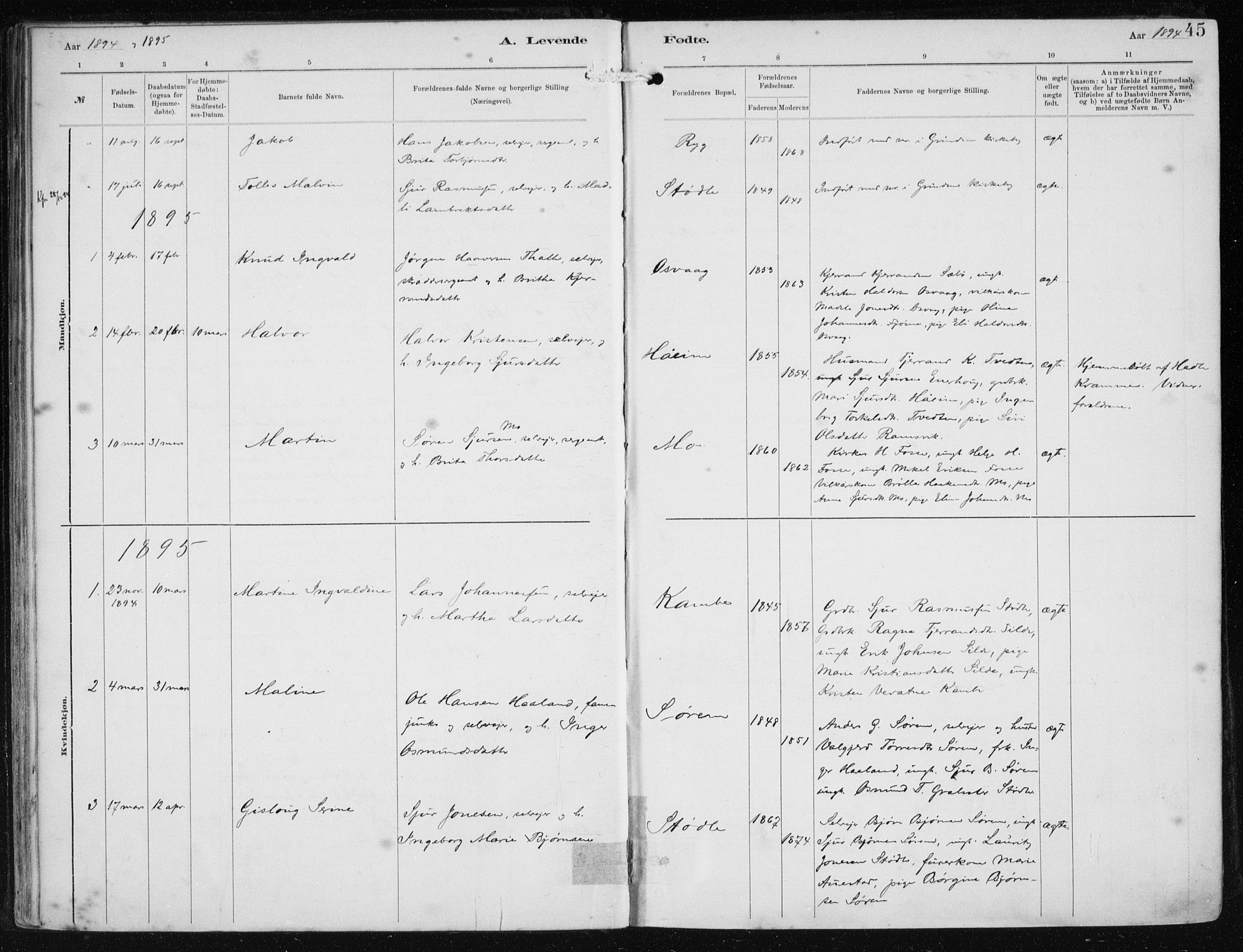 Etne sokneprestembete, AV/SAB-A-75001/H/Haa: Parish register (official) no. B  1, 1879-1919, p. 45