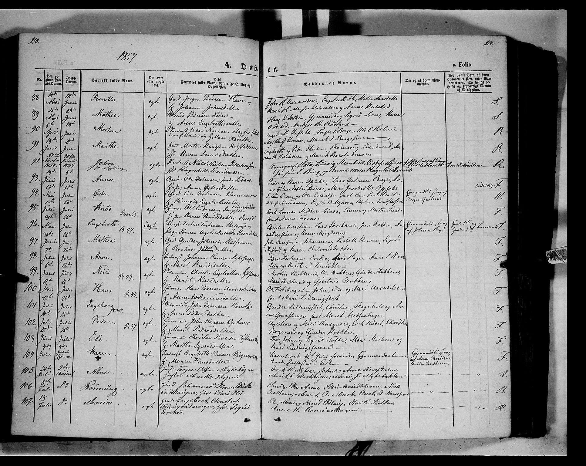 Ringebu prestekontor, AV/SAH-PREST-082/H/Ha/Haa/L0006: Parish register (official) no. 6, 1848-1859, p. 213-214