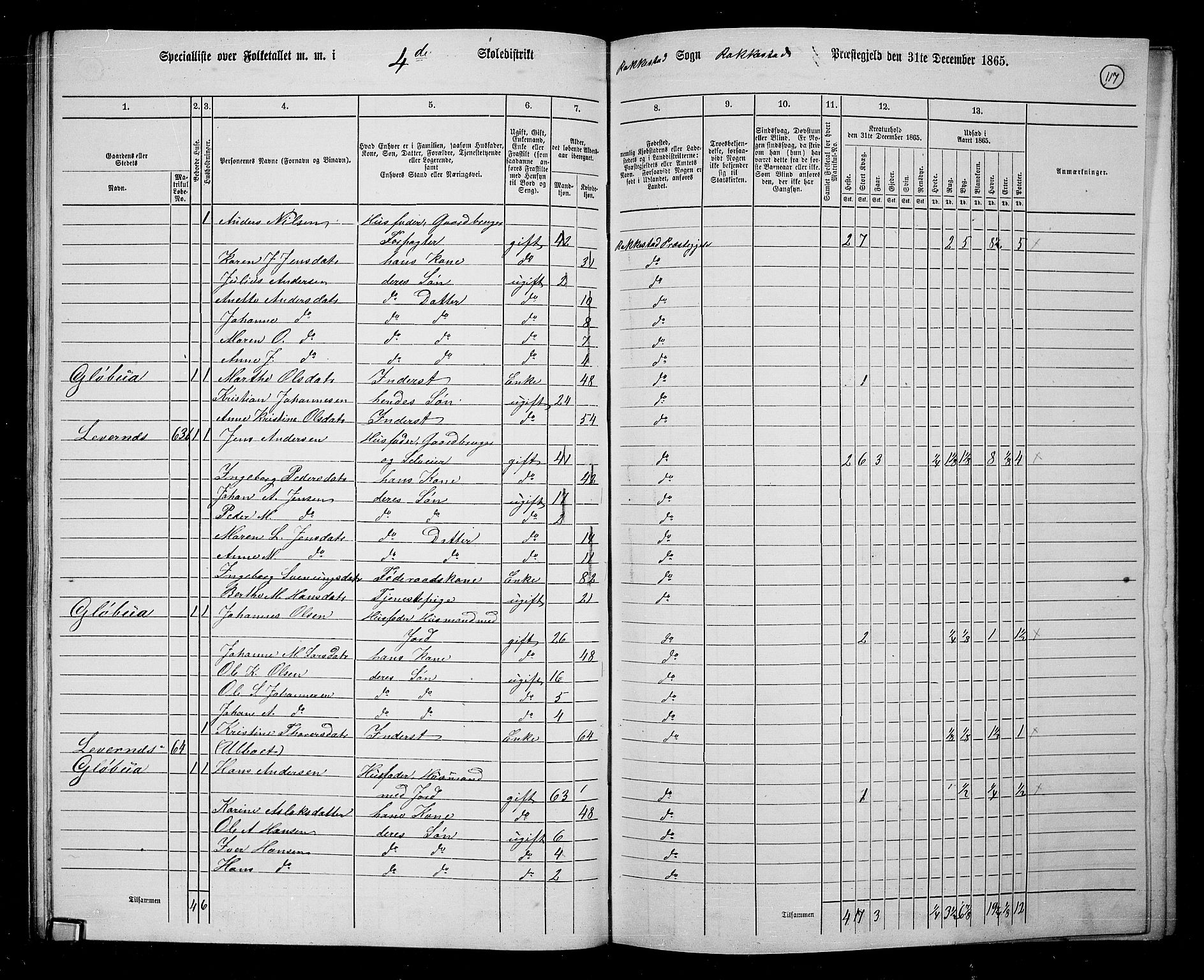 RA, 1865 census for Rakkestad, 1865, p. 115