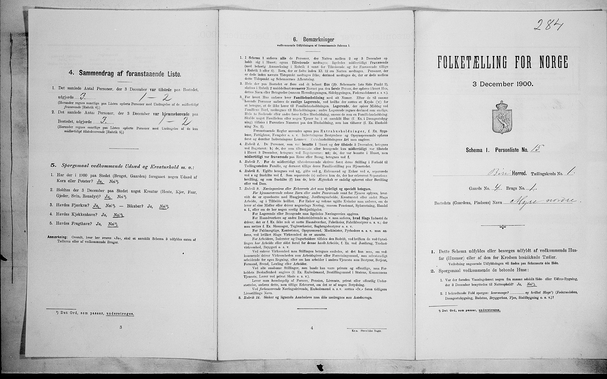 SAH, 1900 census for Biri, 1900, p. 156