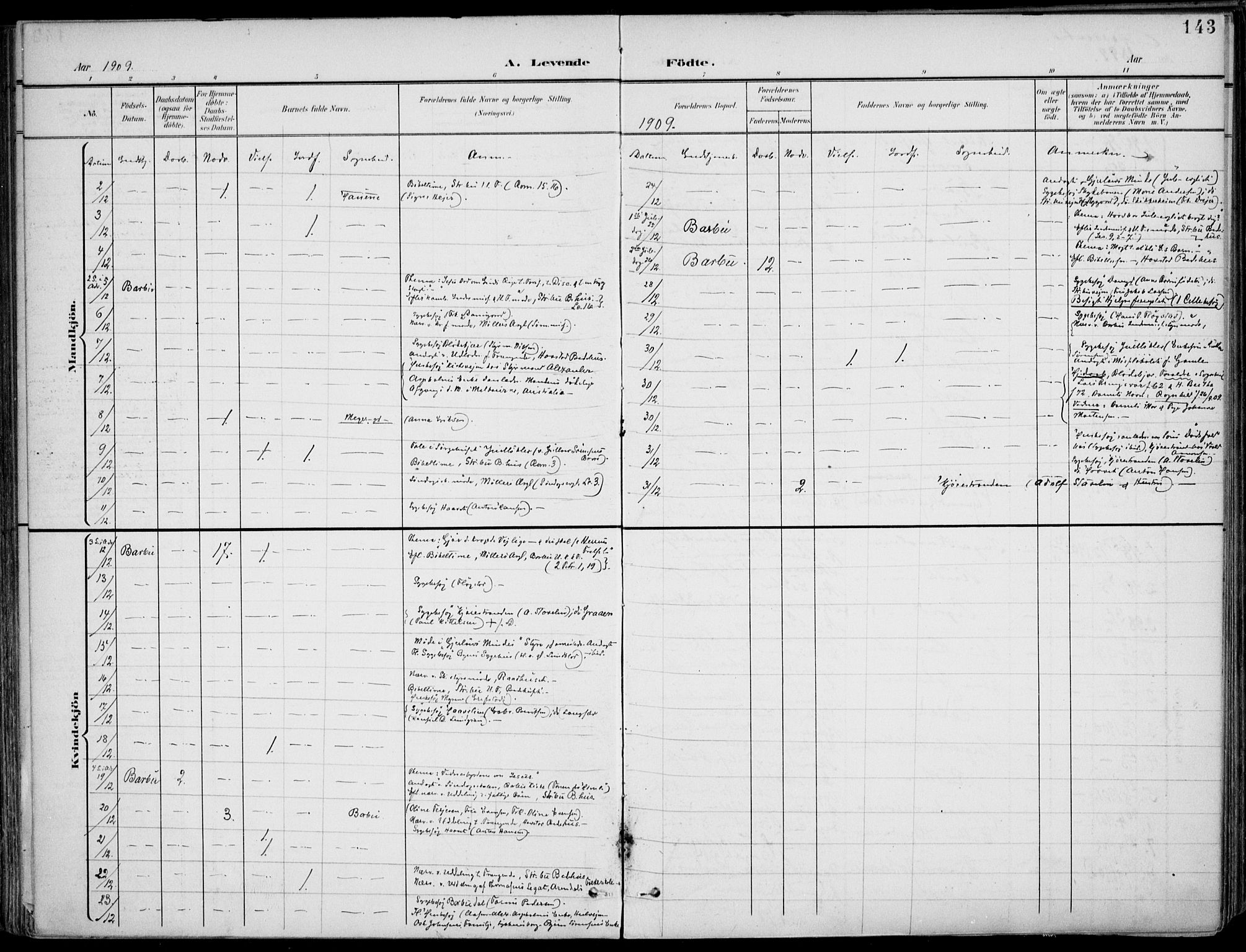 Barbu sokneprestkontor, AV/SAK-1111-0003/F/Fa/L0005: Parish register (official) no. A 5, 1899-1909, p. 143