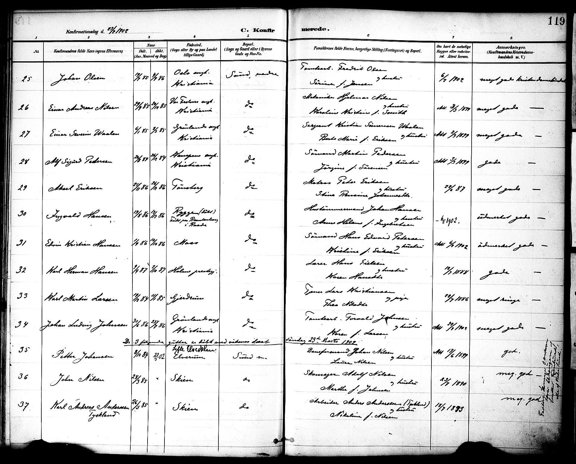 Nes prestekontor, Hedmark, AV/SAH-PREST-020/K/Ka/L0010: Parish register (official) no. 10, 1887-1905, p. 119