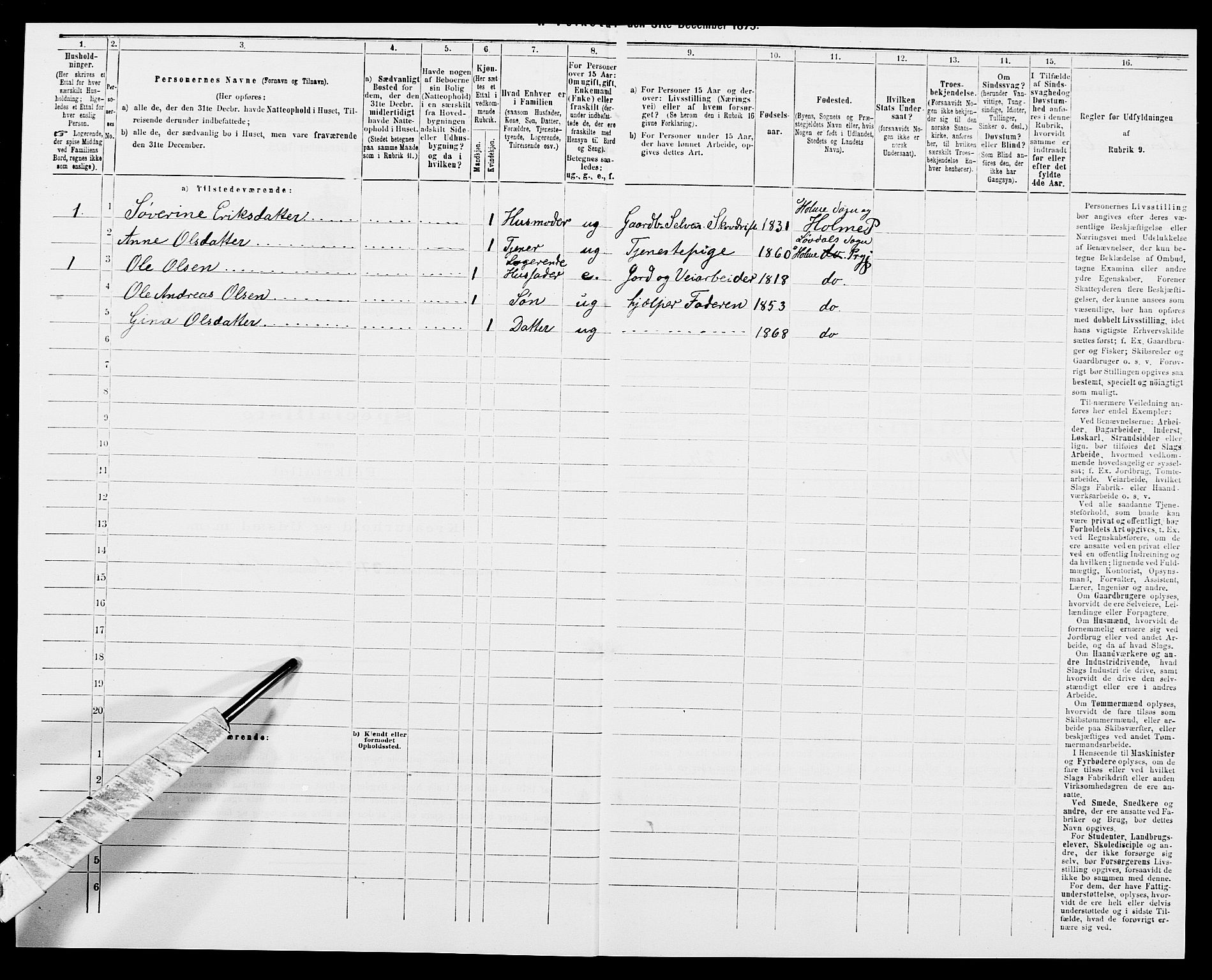 SAK, 1875 census for 1020P Holum, 1875, p. 459