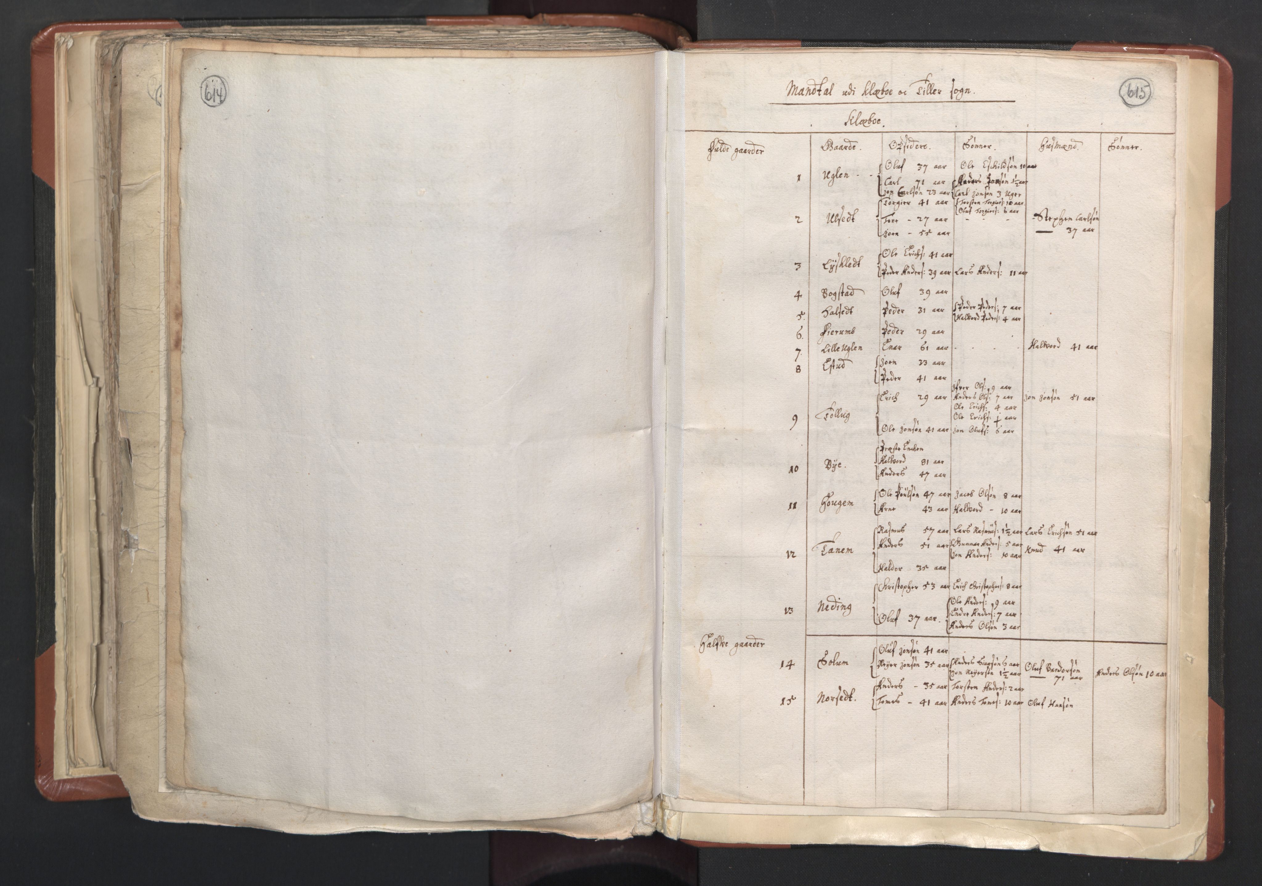 RA, Vicar's Census 1664-1666, no. 31: Dalane deanery, 1664-1666, p. 614-615