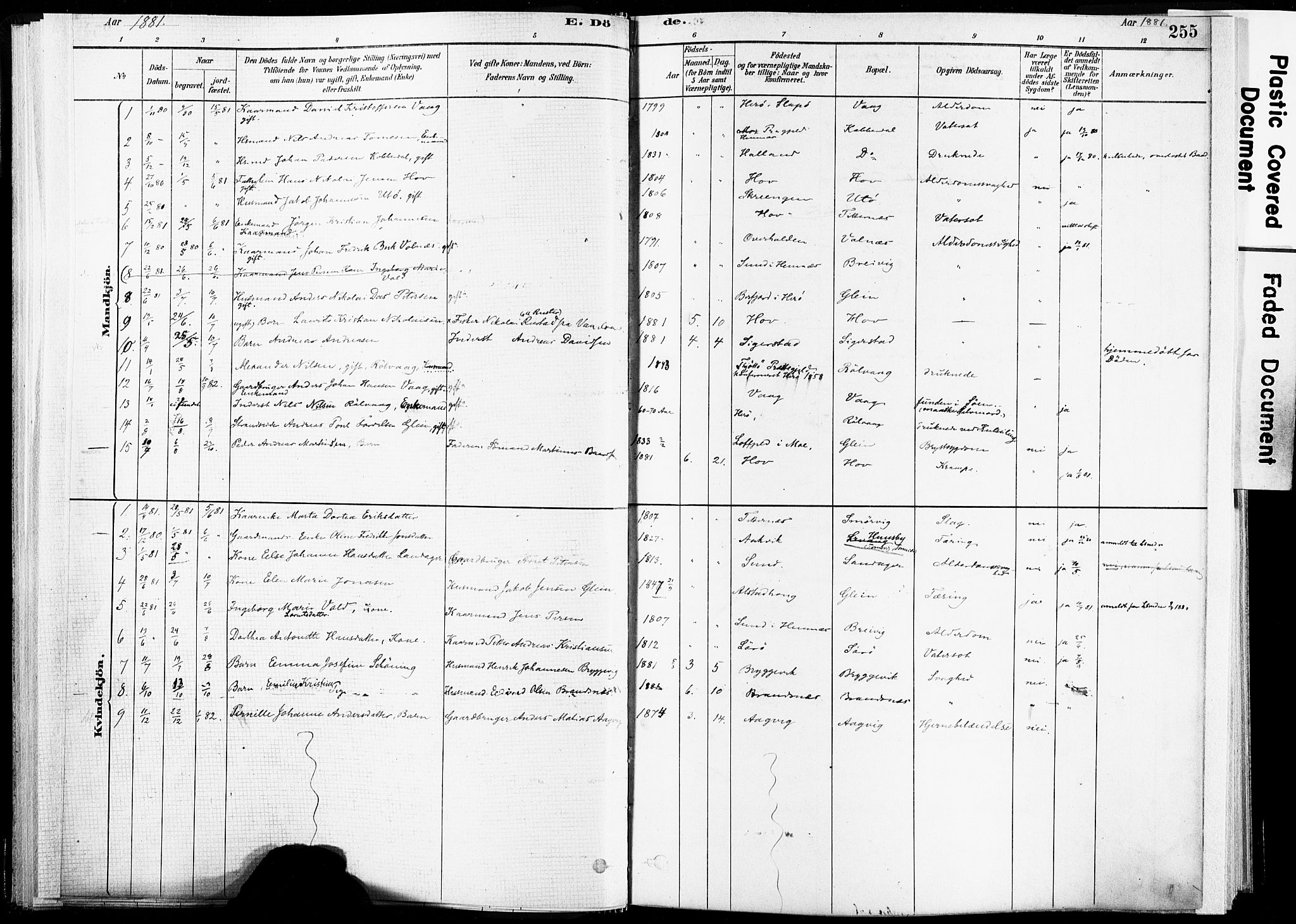 Ministerialprotokoller, klokkerbøker og fødselsregistre - Nordland, AV/SAT-A-1459/835/L0526: Parish register (official) no. 835A03II, 1881-1910, p. 255