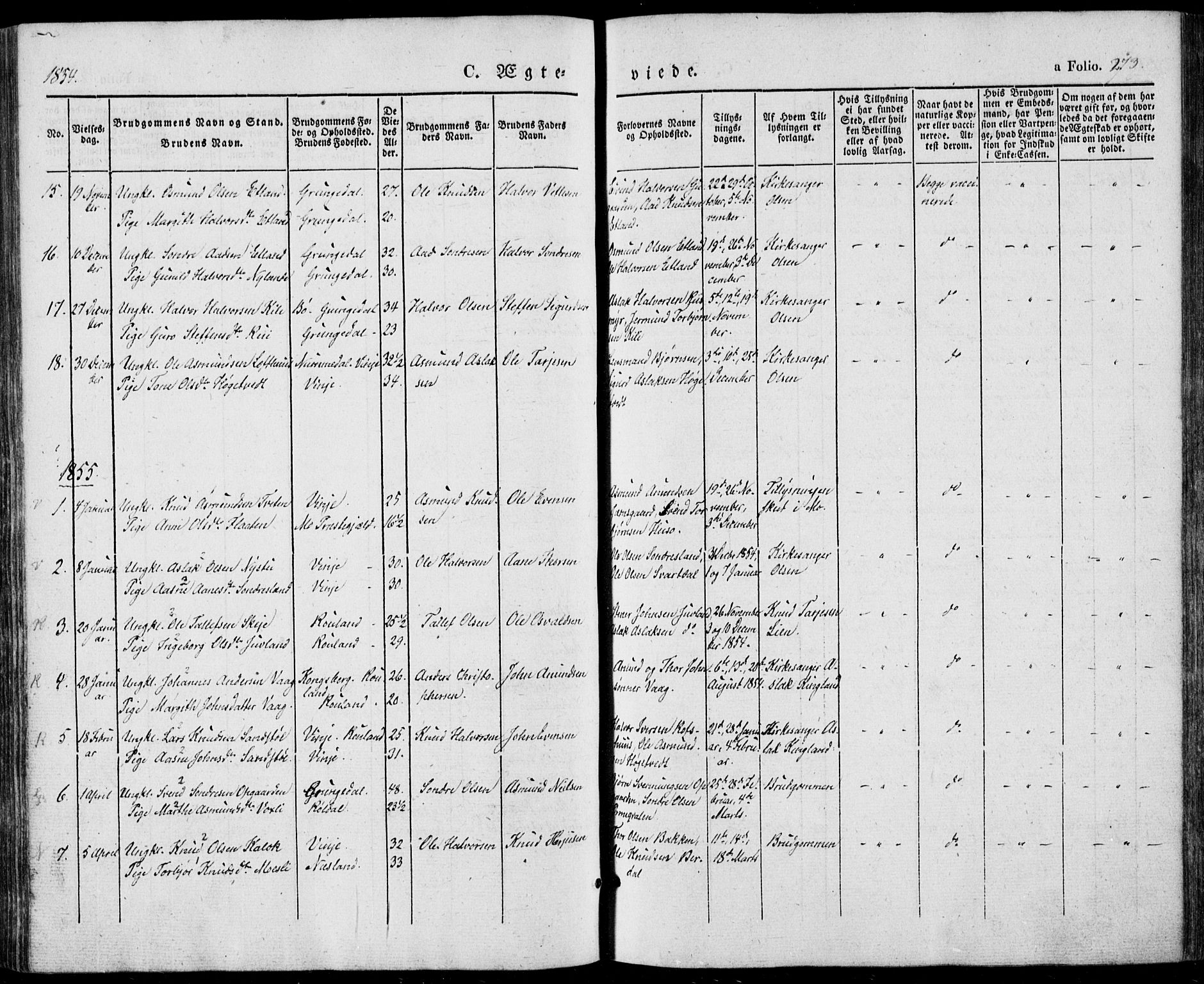 Vinje kirkebøker, SAKO/A-312/F/Fa/L0004: Parish register (official) no. I 4, 1843-1869, p. 273