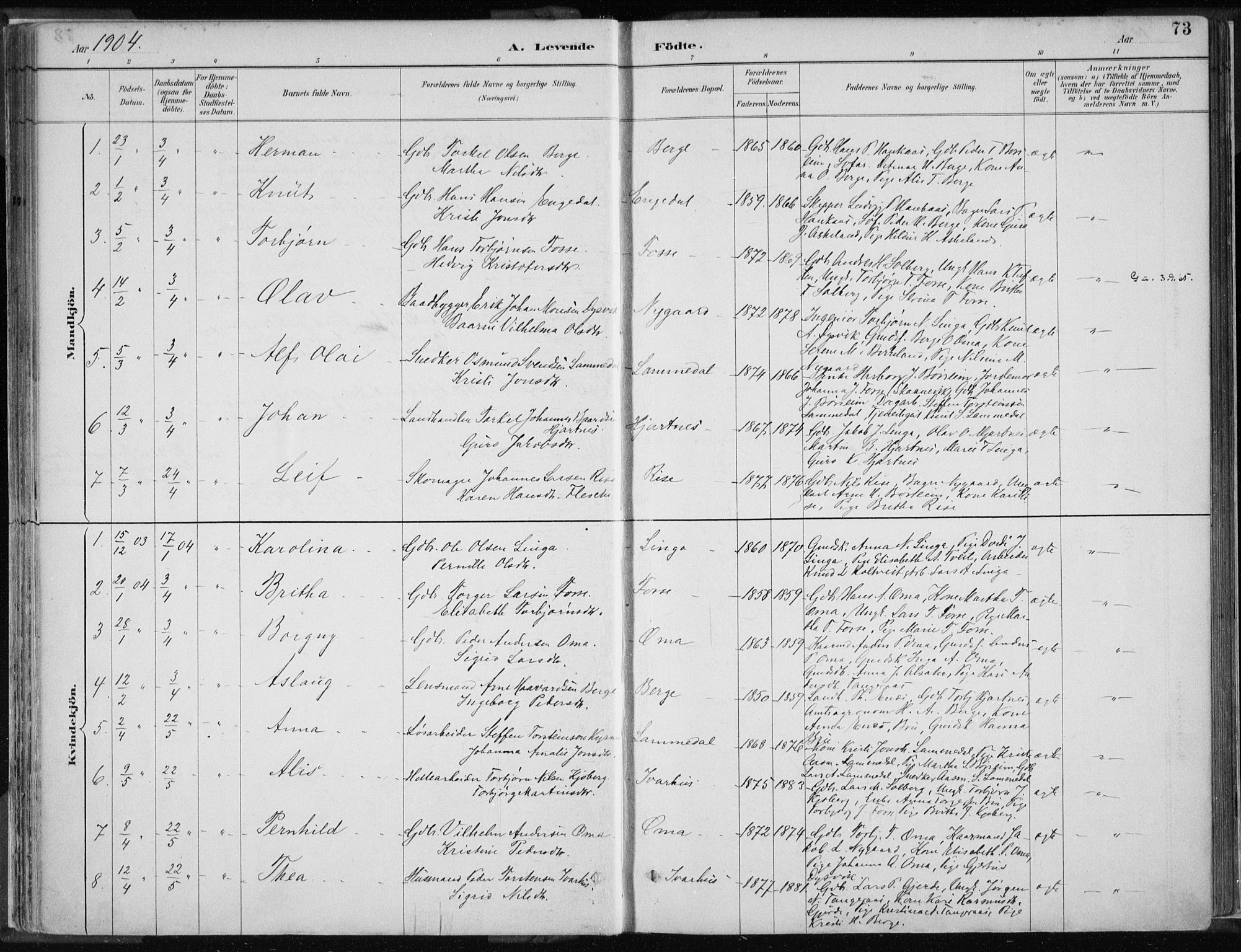 Strandebarm sokneprestembete, AV/SAB-A-78401/H/Haa: Parish register (official) no. B  1, 1886-1908, p. 73