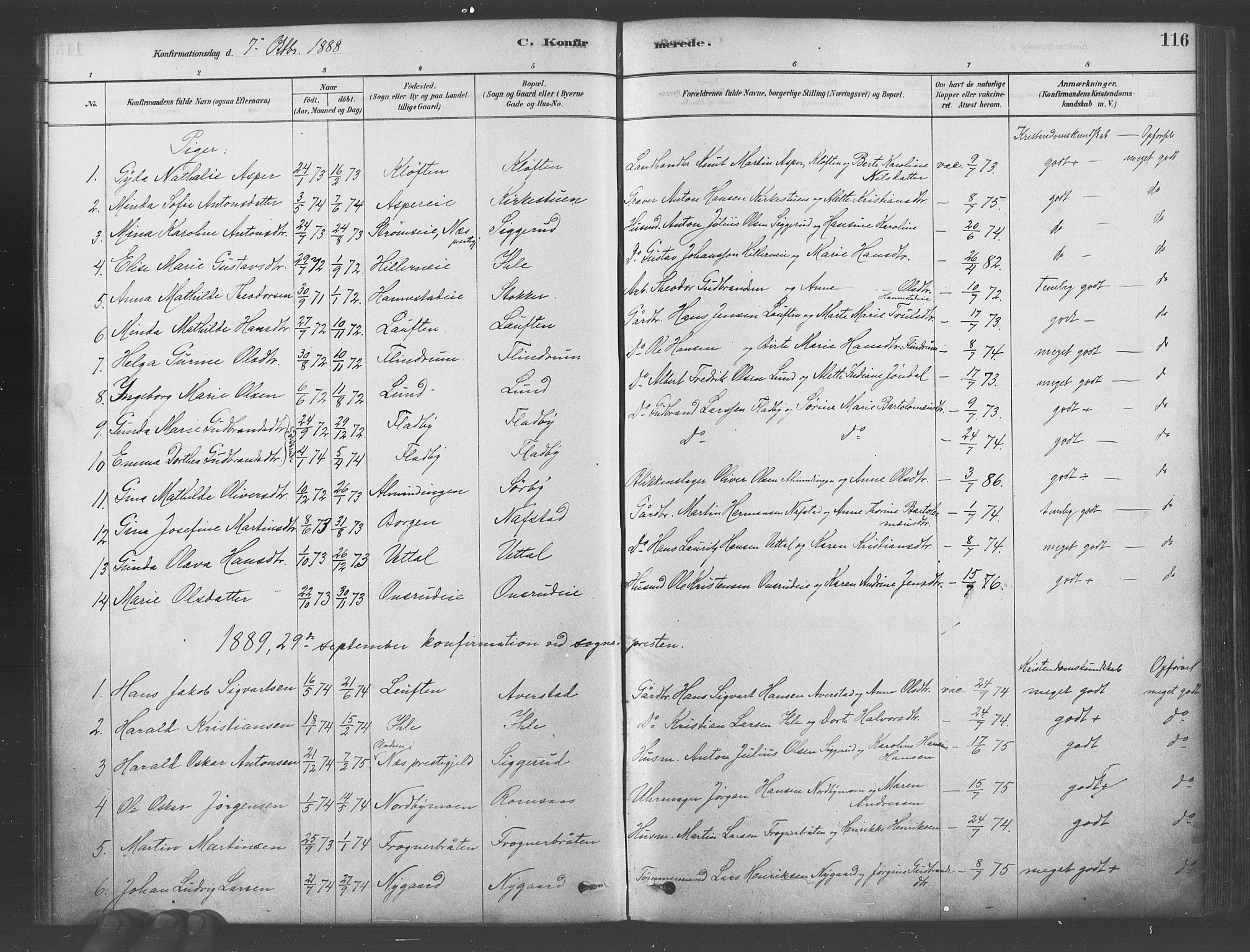 Ullensaker prestekontor Kirkebøker, SAO/A-10236a/F/Fa/L0019: Parish register (official) no. I 19, 1878-1891, p. 116