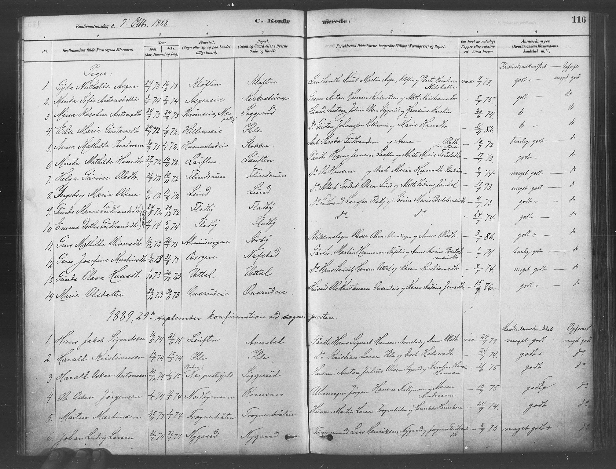 Ullensaker prestekontor Kirkebøker, AV/SAO-A-10236a/F/Fa/L0019: Parish register (official) no. I 19, 1878-1891, p. 116