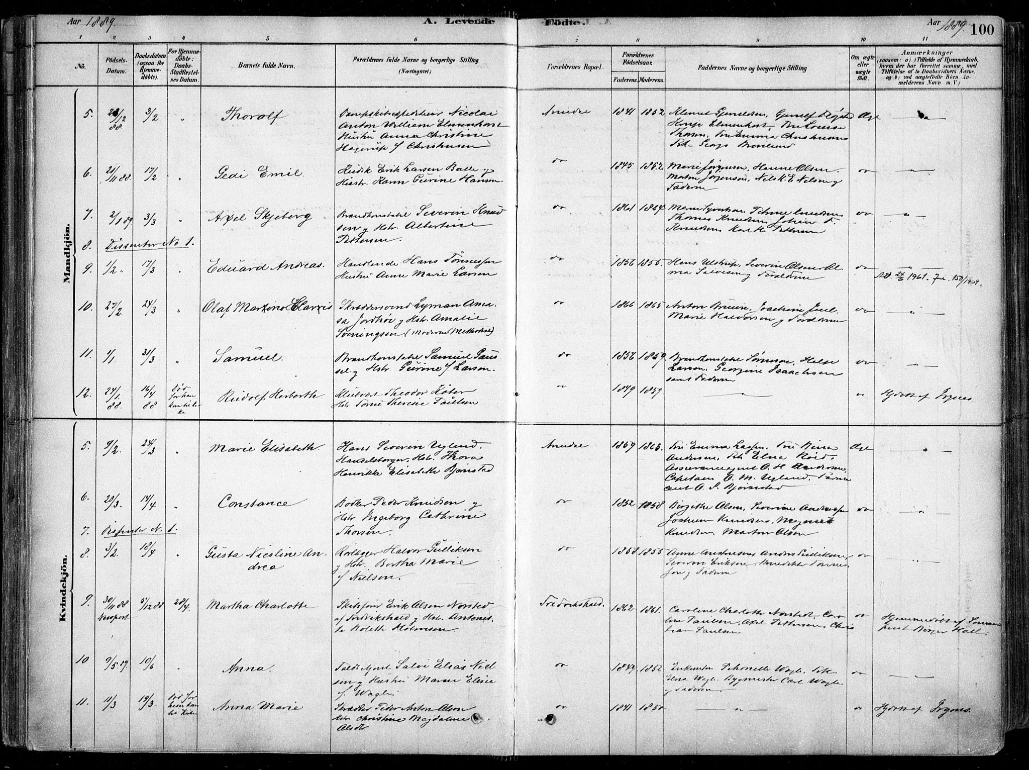 Arendal sokneprestkontor, Trefoldighet, AV/SAK-1111-0040/F/Fa/L0008: Parish register (official) no. A 8, 1878-1899, p. 100