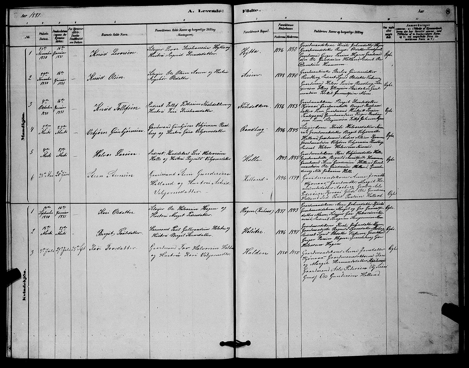 Nore kirkebøker, AV/SAKO-A-238/G/Gc/L0002: Parish register (copy) no. III 2, 1878-1883, p. 8