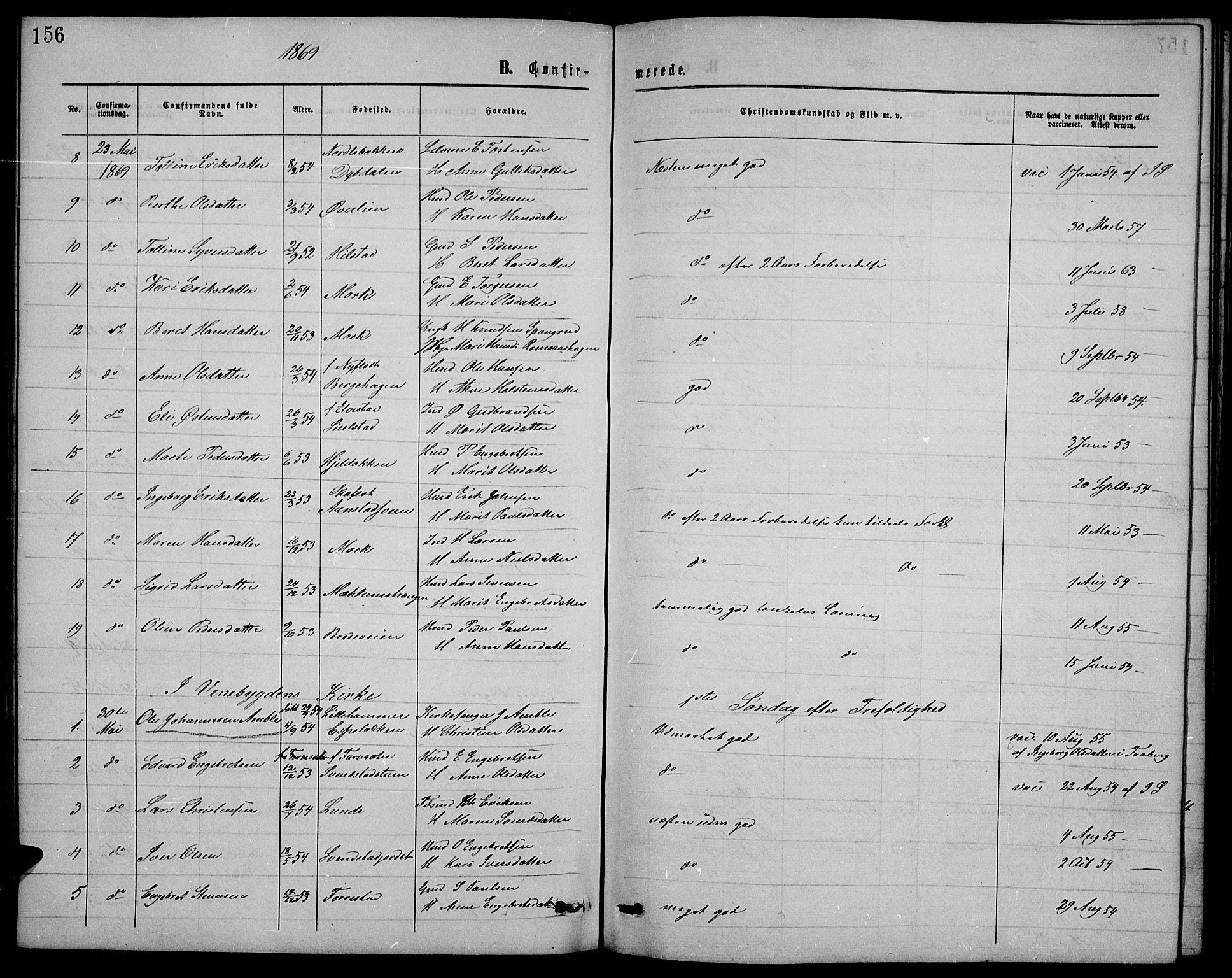 Ringebu prestekontor, AV/SAH-PREST-082/H/Ha/Hab/L0004: Parish register (copy) no. 4, 1867-1879, p. 156