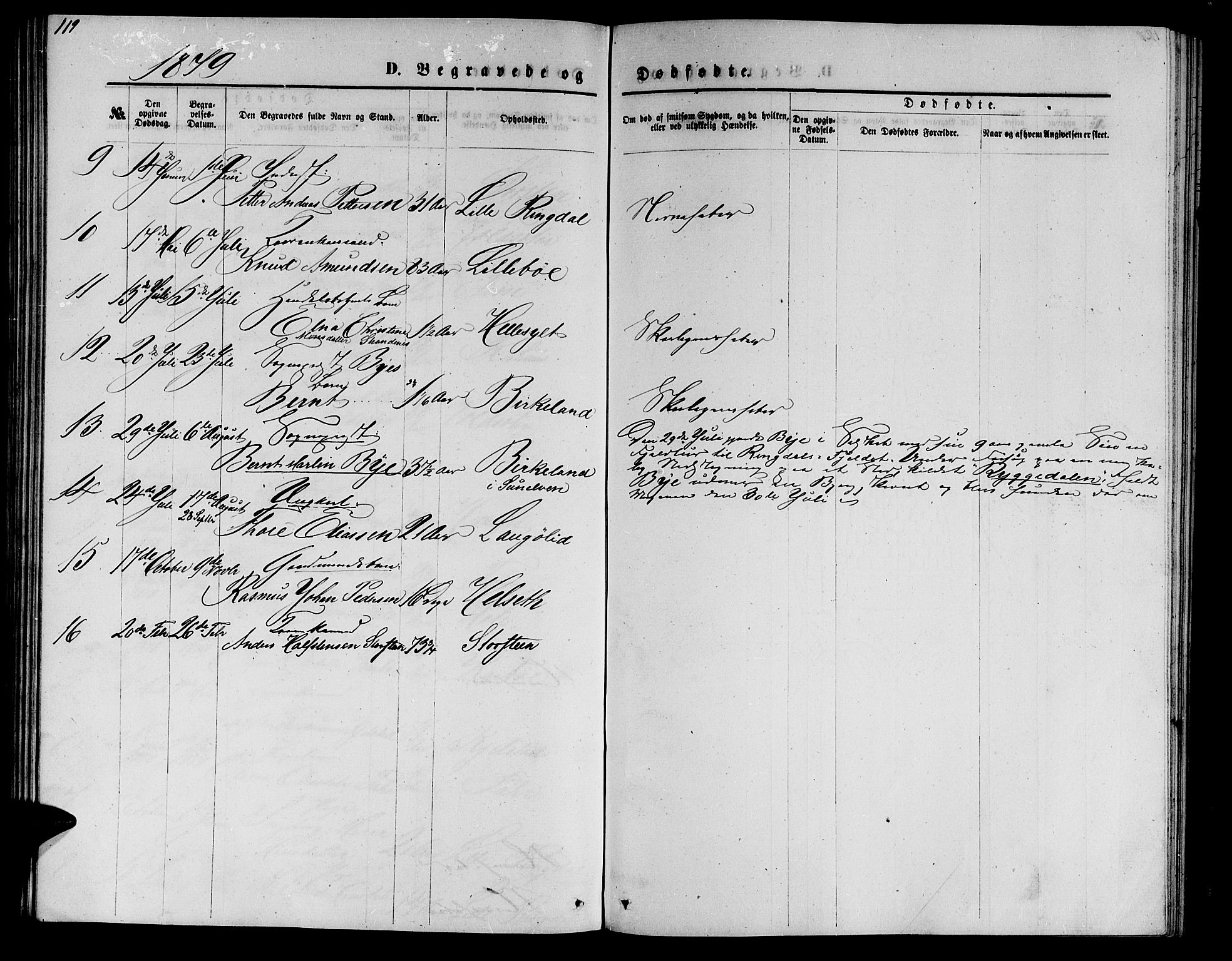 Ministerialprotokoller, klokkerbøker og fødselsregistre - Møre og Romsdal, SAT/A-1454/517/L0229: Parish register (copy) no. 517C02, 1864-1879, p. 119