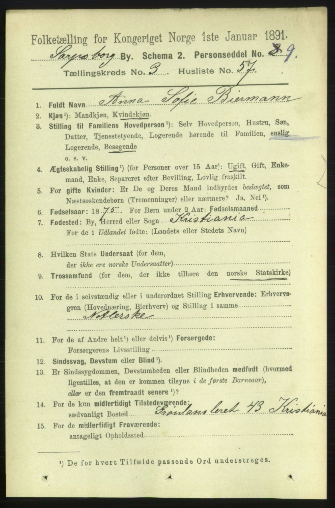 RA, 1891 census for 0102 Sarpsborg, 1891, p. 2991