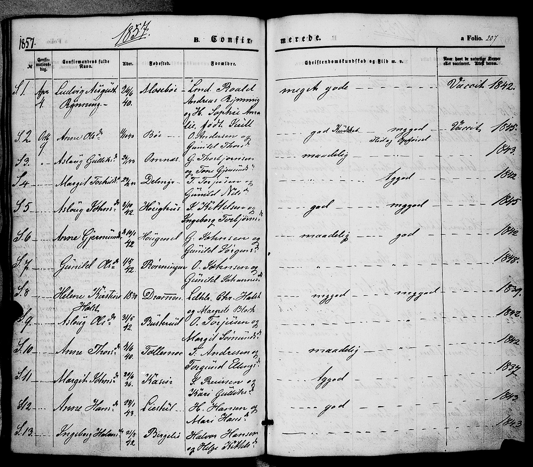 Hjartdal kirkebøker, AV/SAKO-A-270/F/Fa/L0008: Parish register (official) no. I 8, 1844-1859, p. 207