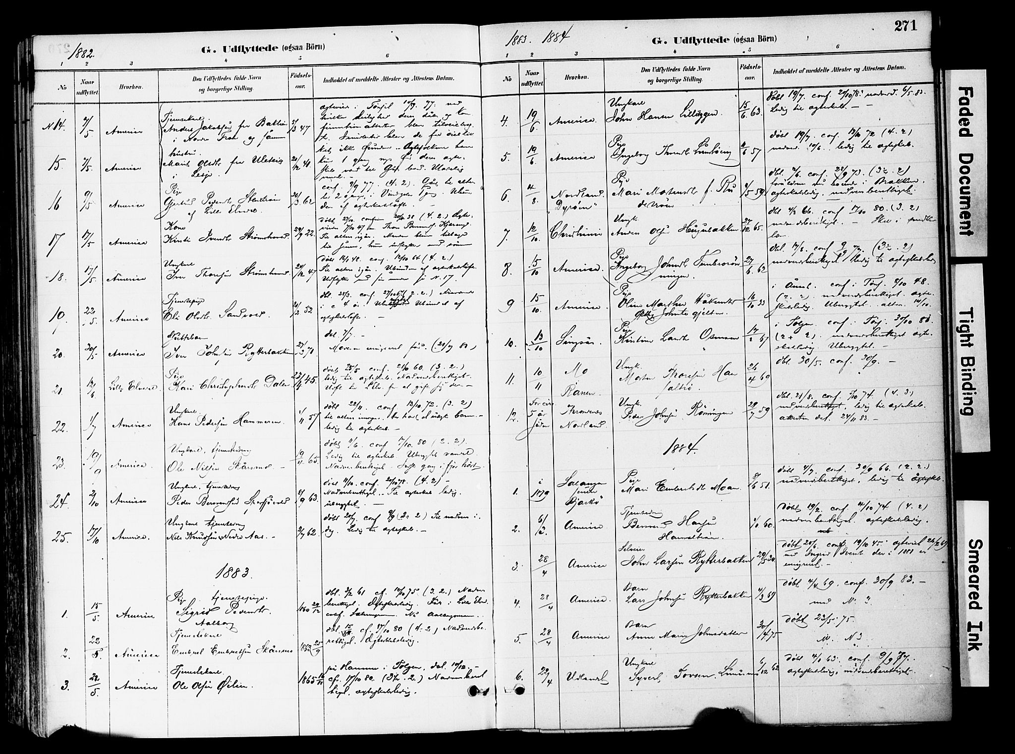 Tynset prestekontor, SAH/PREST-058/H/Ha/Haa/L0022: Parish register (official) no. 22, 1880-1899, p. 271