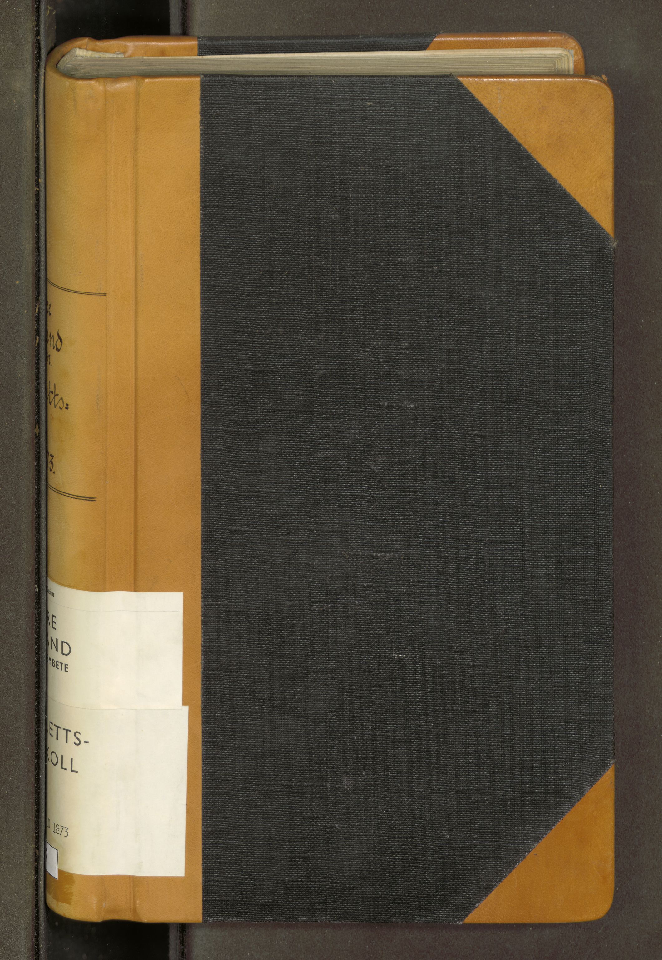 Rana sorenskriveri , SAT/A-1108/1/1/1B/L0007: Ekstrarettsprotokoll, 1871-1873