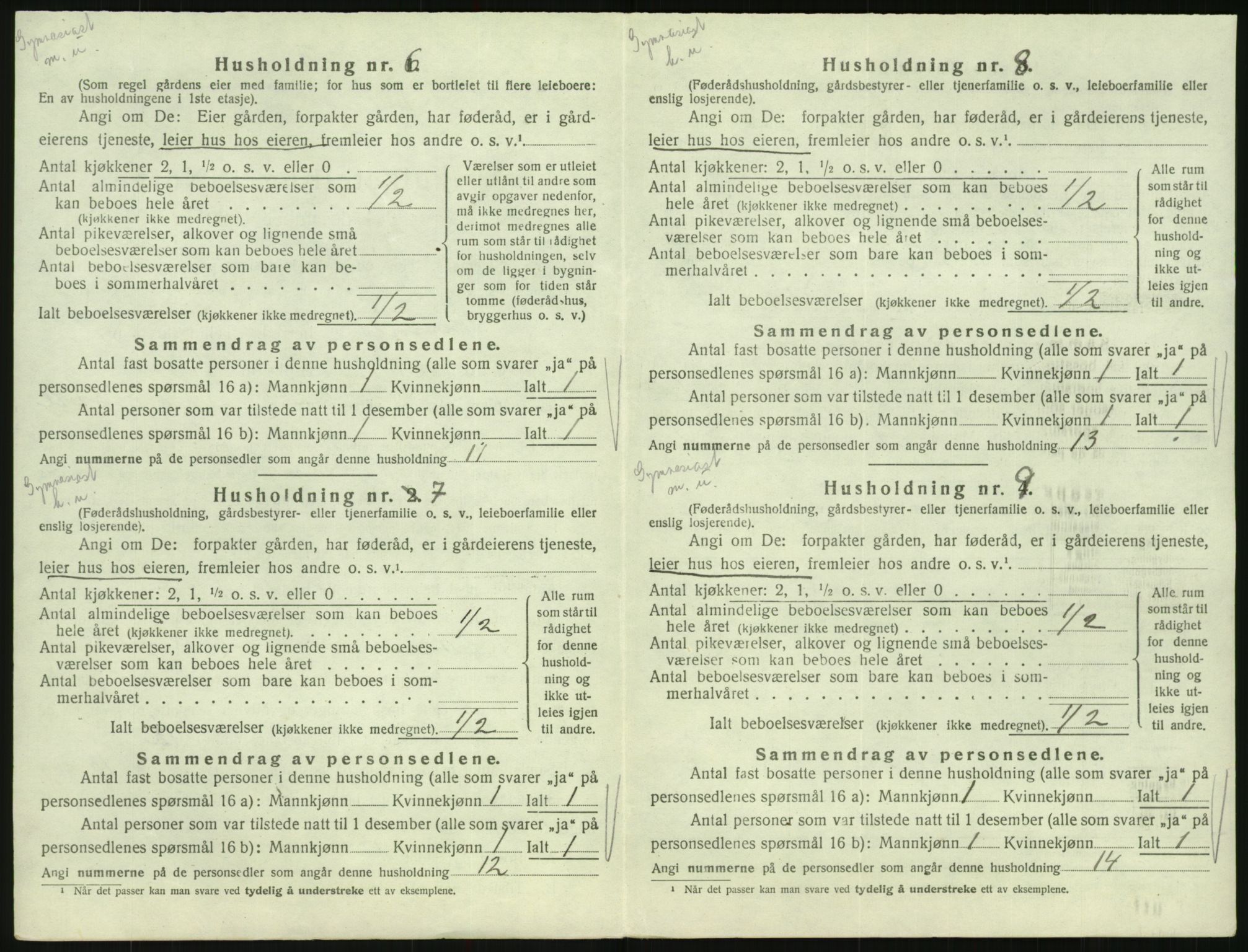 SAK, 1920 census for Hornnes, 1920, p. 298
