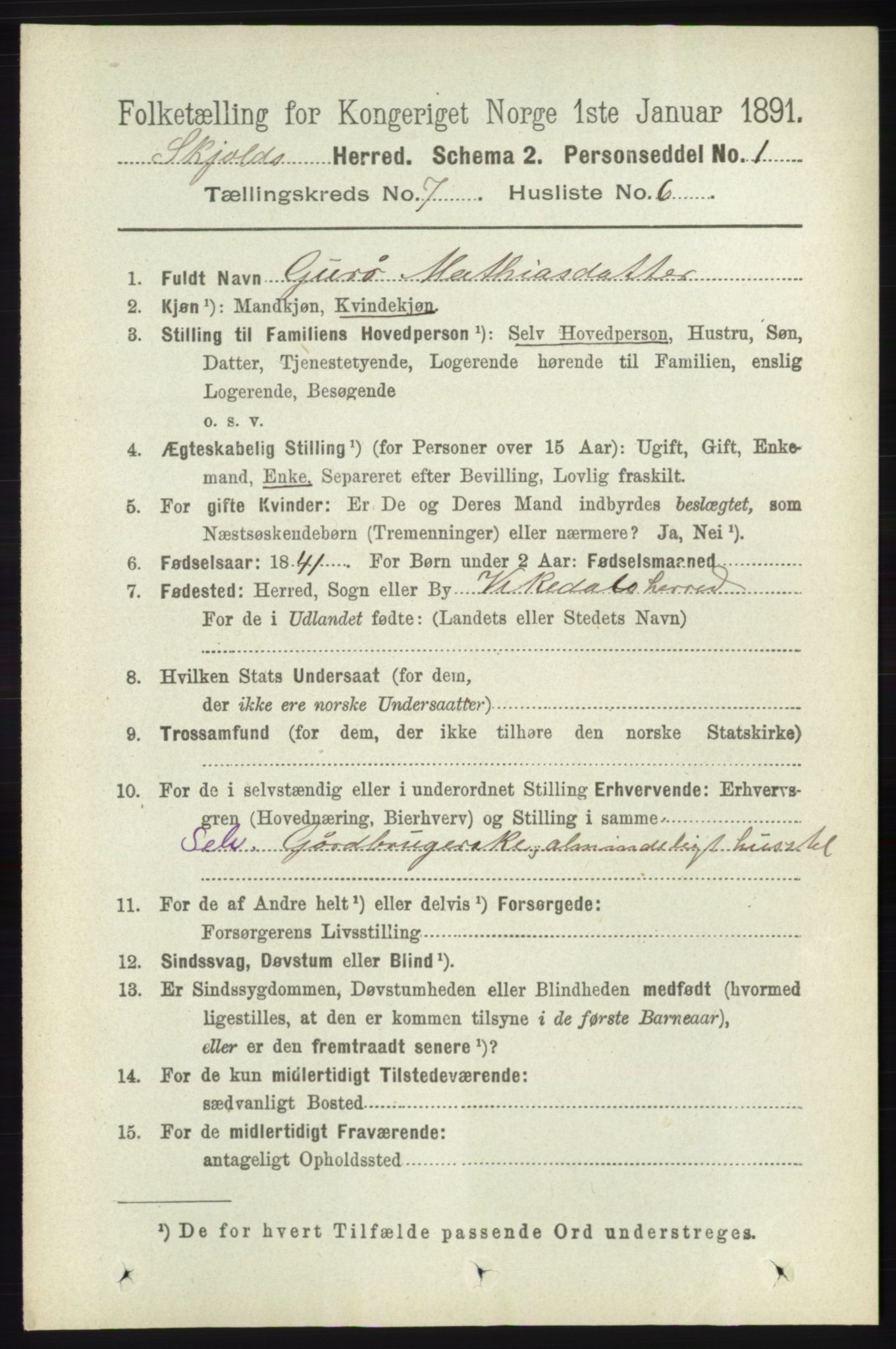 RA, 1891 census for 1154 Skjold, 1891, p. 1369