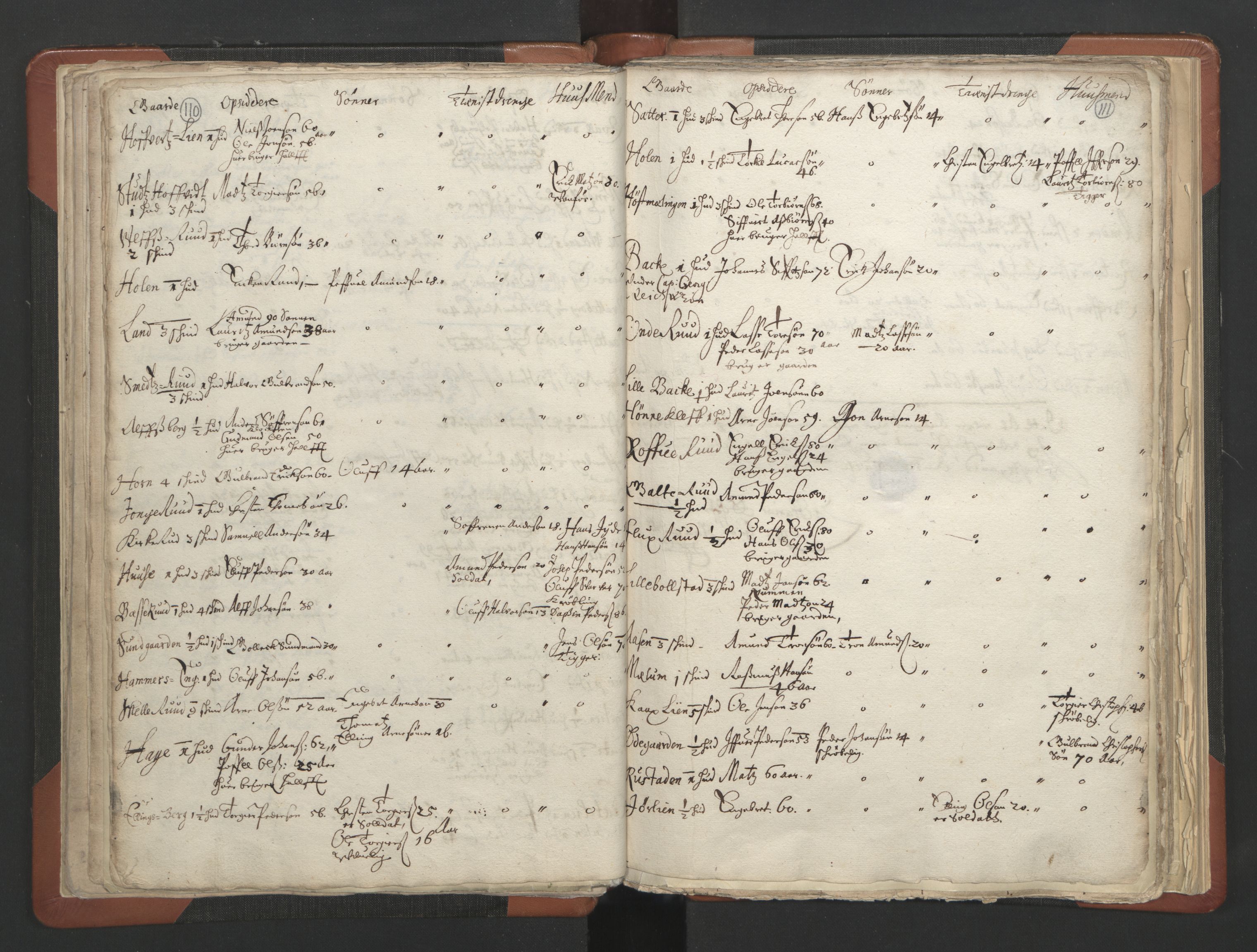 RA, Vicar's Census 1664-1666, no. 6: Gudbrandsdal deanery, 1664-1666, p. 110-111