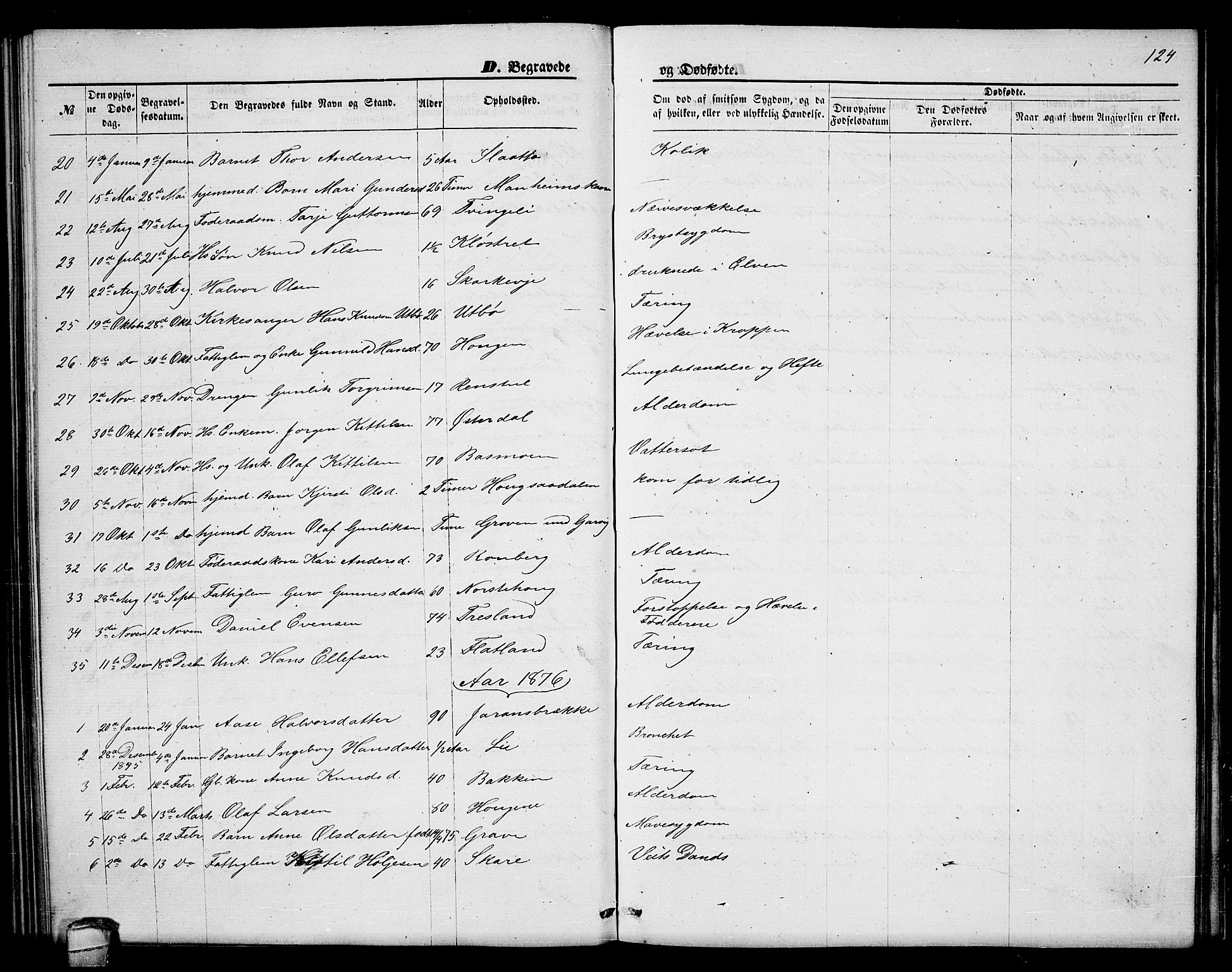 Seljord kirkebøker, AV/SAKO-A-20/G/Ga/L0004: Parish register (copy) no. I 4, 1873-1886, p. 124