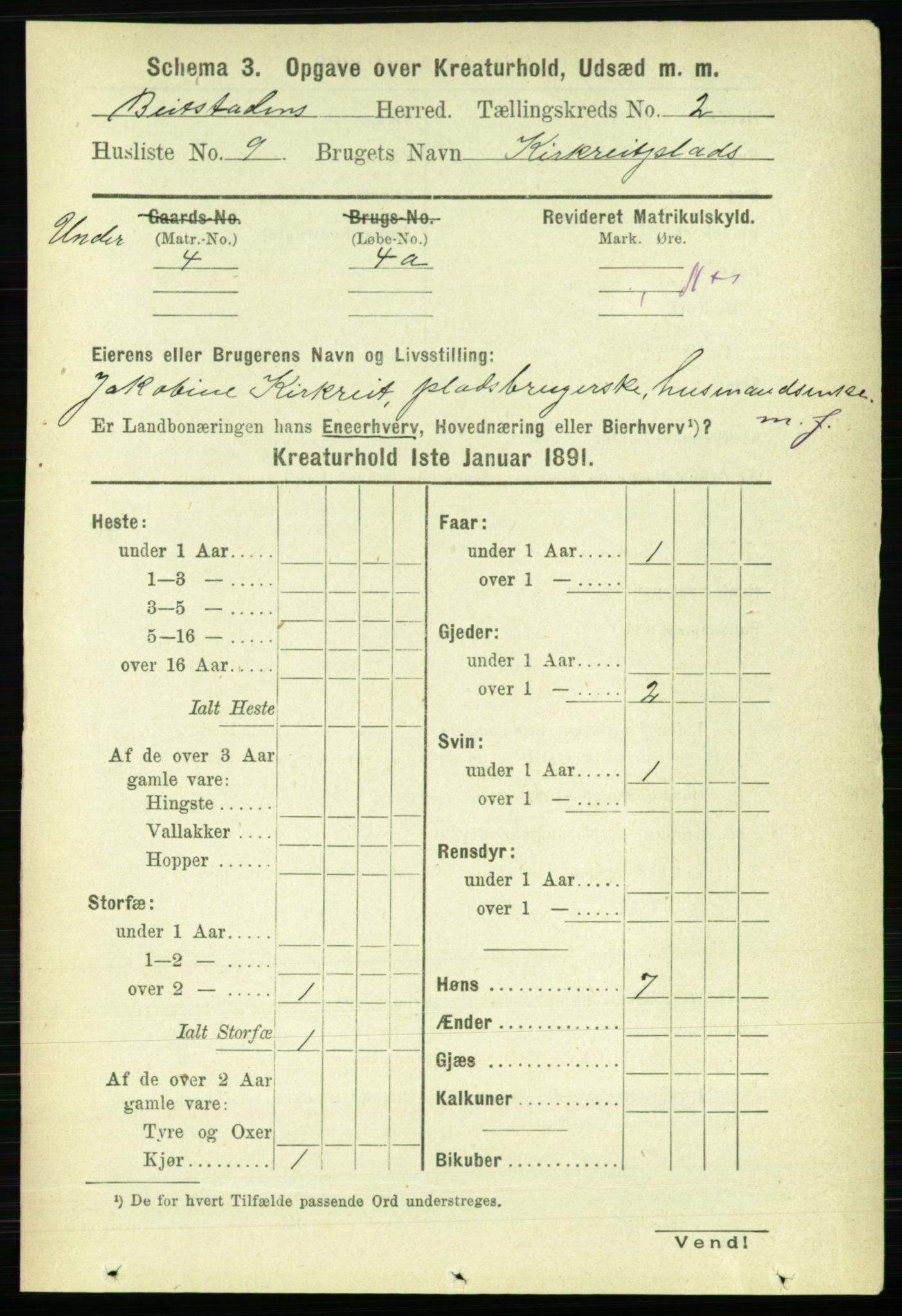 RA, 1891 census for 1727 Beitstad, 1891, p. 5705