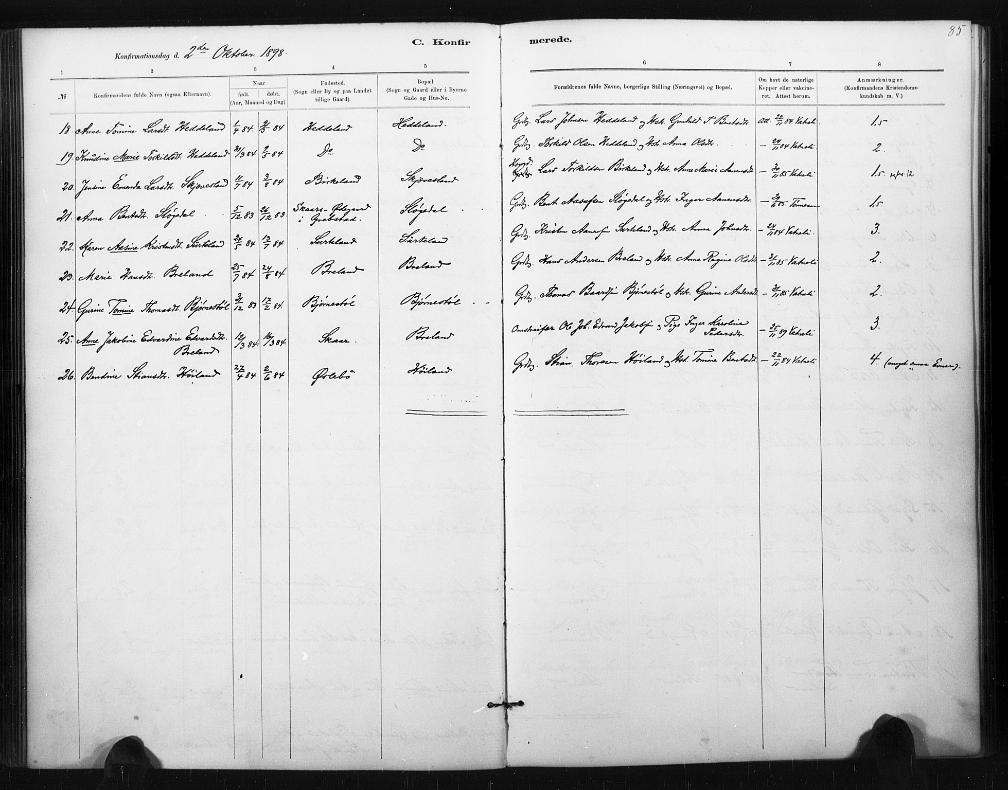 Holum sokneprestkontor, AV/SAK-1111-0022/F/Fa/Fac/L0004: Parish register (official) no. A 4, 1884-1907, p. 85