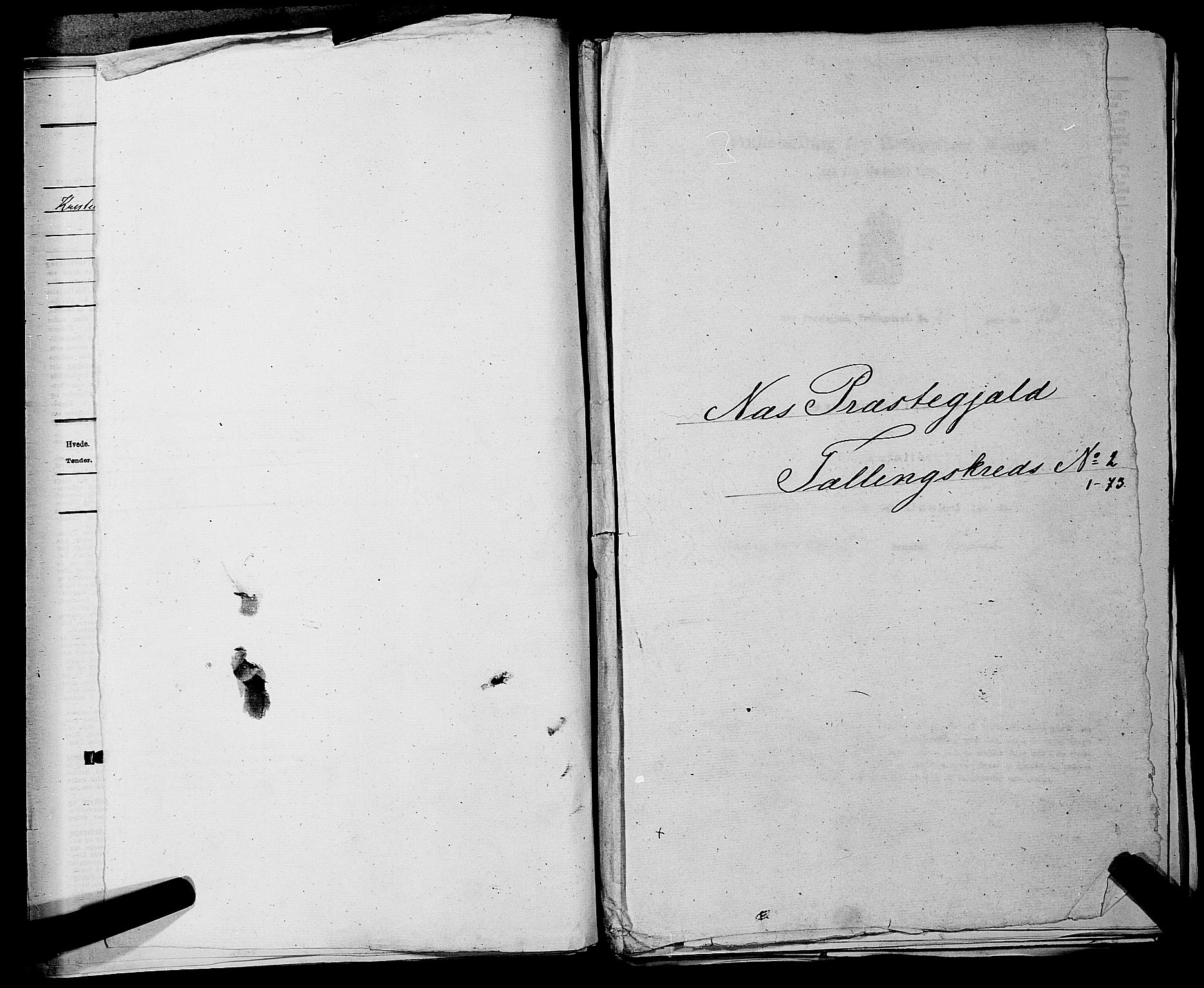 RA, 1875 census for 0236P Nes, 1875, p. 176