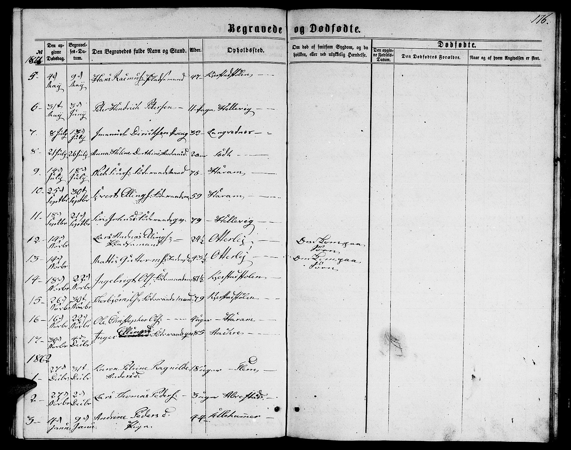 Ministerialprotokoller, klokkerbøker og fødselsregistre - Møre og Romsdal, AV/SAT-A-1454/536/L0508: Parish register (copy) no. 536C03, 1860-1870, p. 176