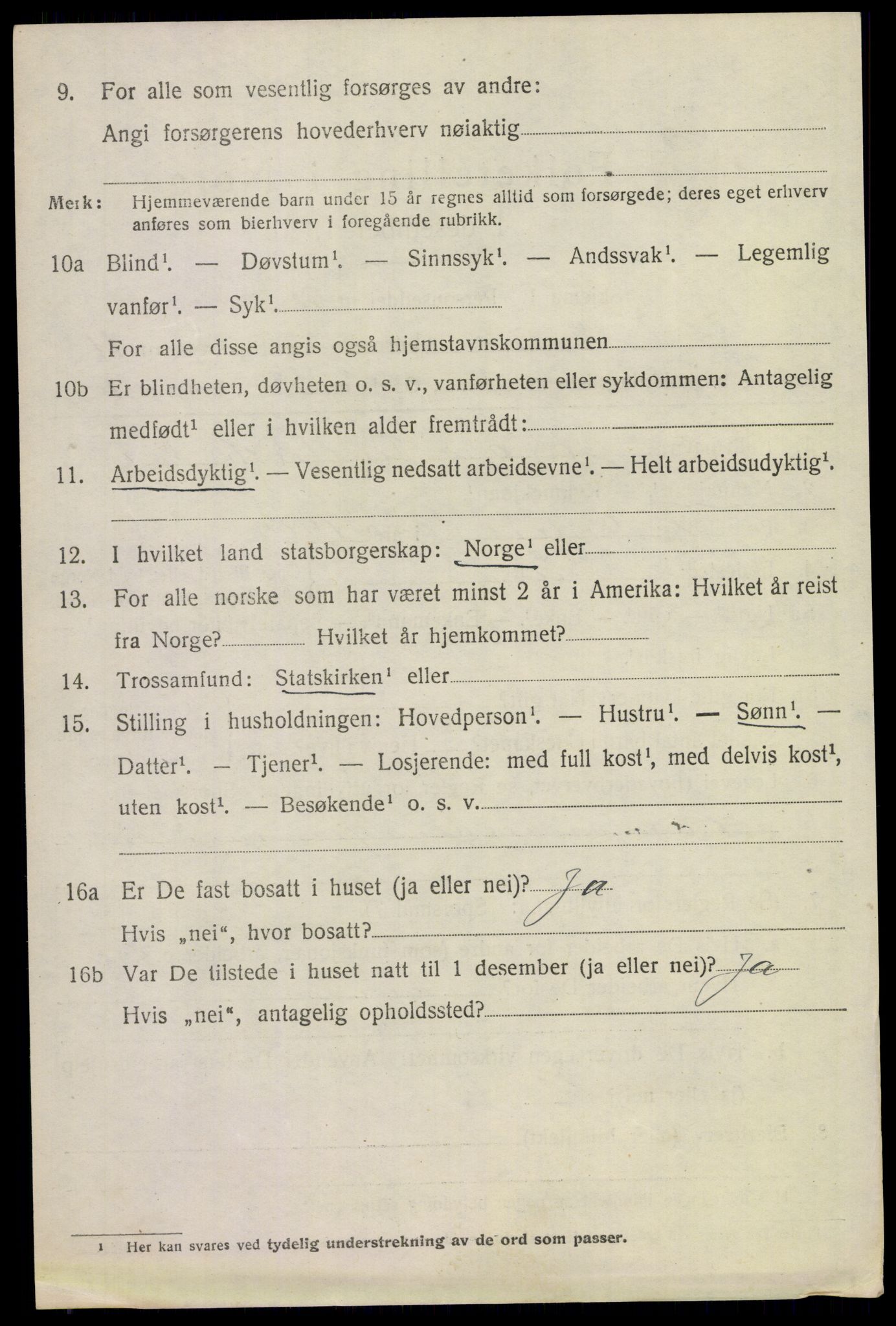 SAKO, 1920 census for Lier, 1920, p. 16153