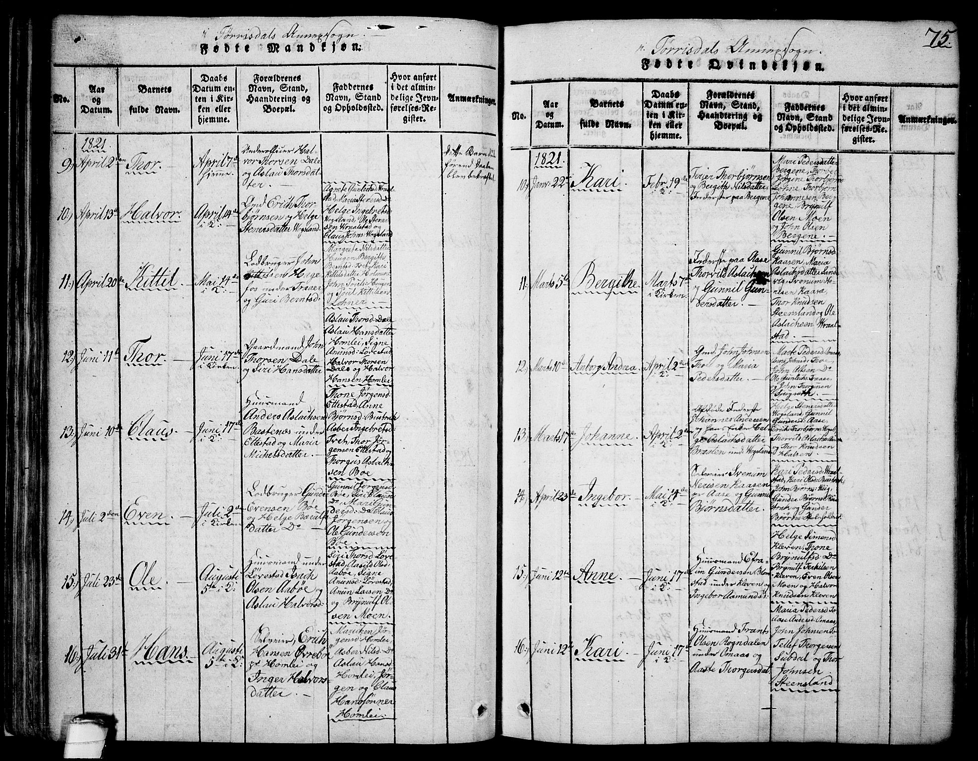 Drangedal kirkebøker, SAKO/A-258/F/Fa/L0005: Parish register (official) no. 5 /2, 1814-1831, p. 75