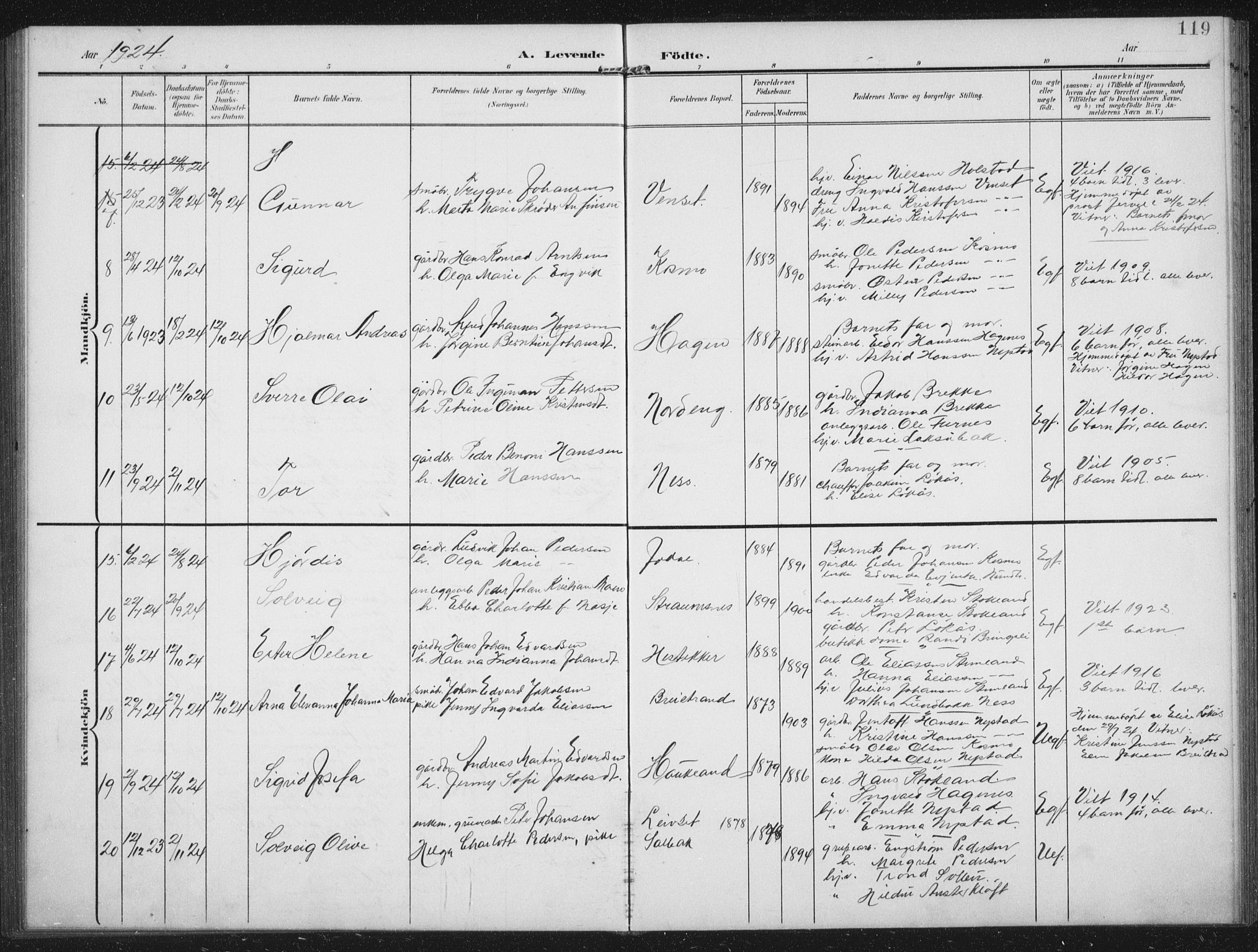 Ministerialprotokoller, klokkerbøker og fødselsregistre - Nordland, AV/SAT-A-1459/851/L0726: Parish register (copy) no. 851C01, 1902-1924, p. 119