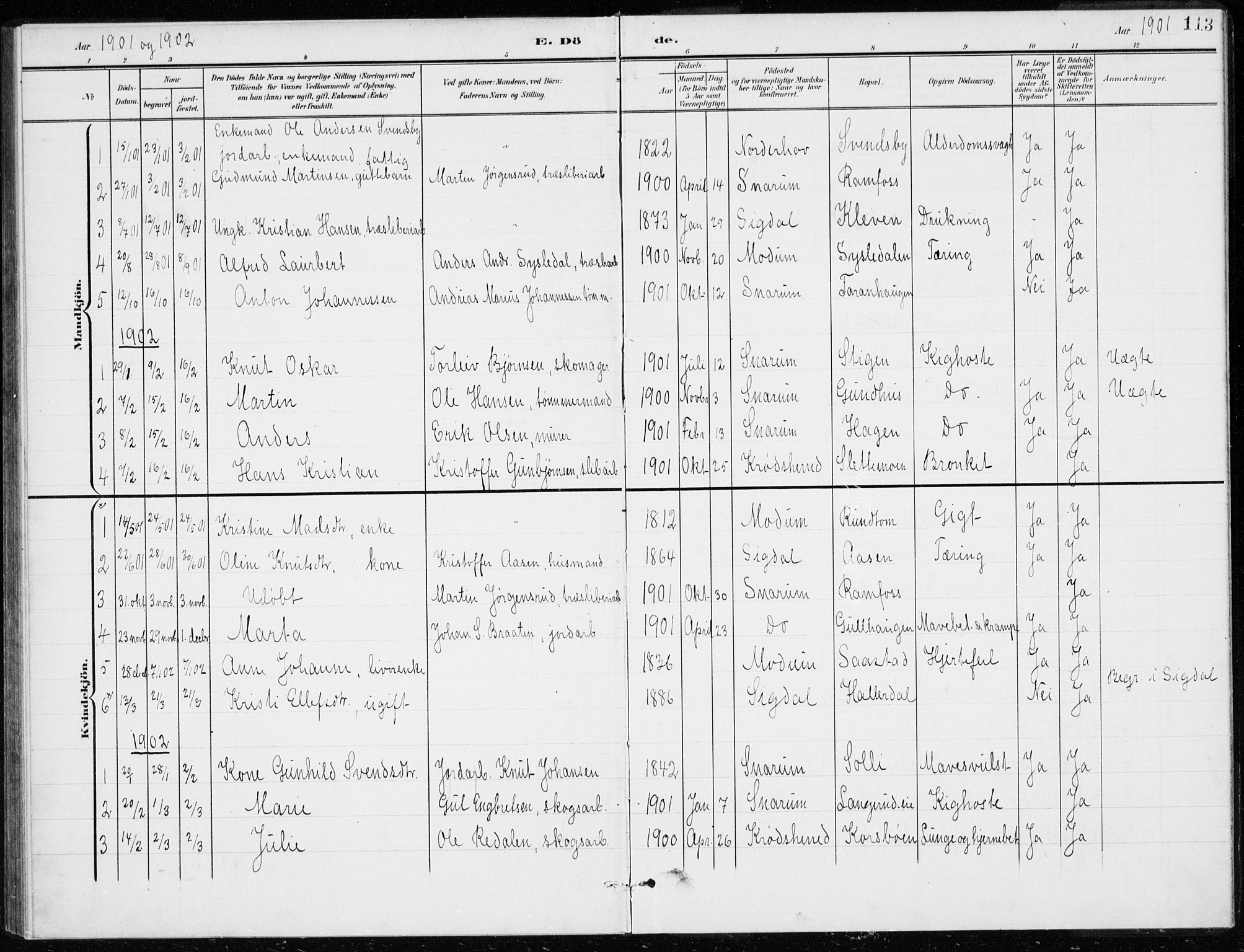 Modum kirkebøker, AV/SAKO-A-234/G/Gd/L0001: Parish register (copy) no. IV 1, 1901-1921, p. 113