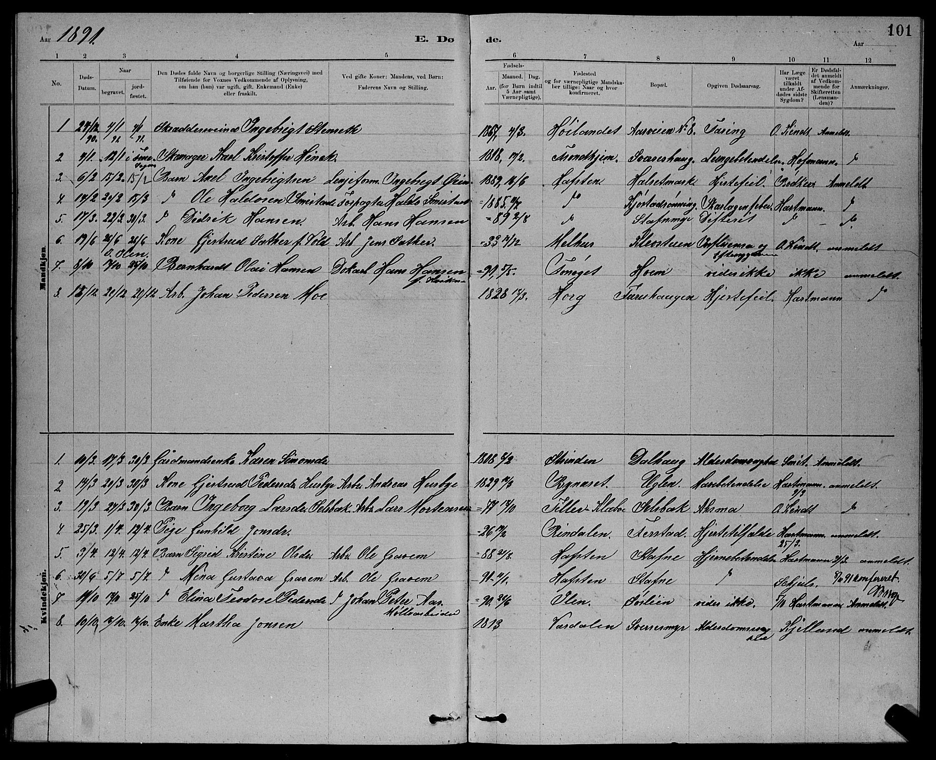 Ministerialprotokoller, klokkerbøker og fødselsregistre - Sør-Trøndelag, AV/SAT-A-1456/611/L0354: Parish register (copy) no. 611C02, 1881-1896, p. 101