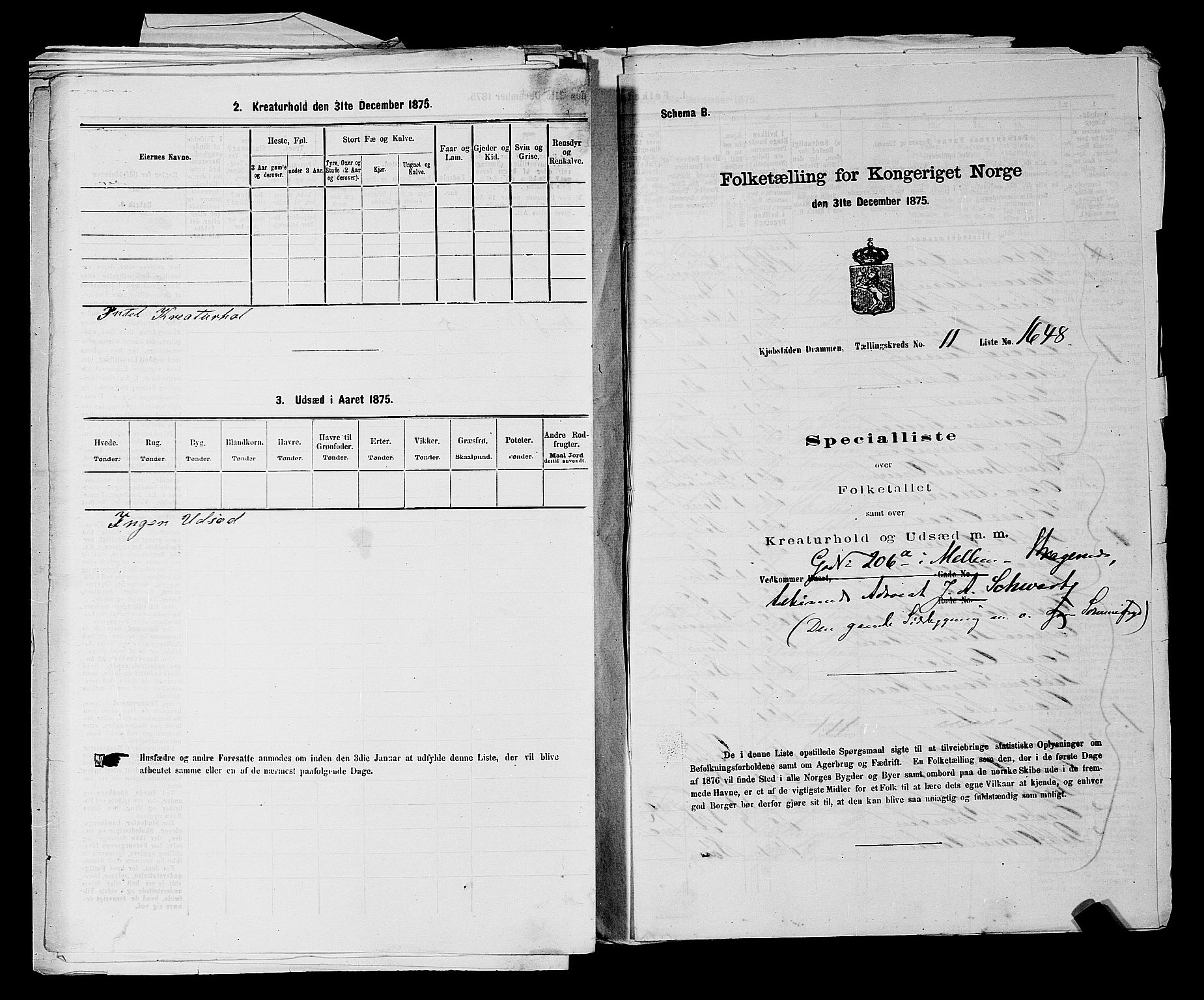 SAKO, 1875 census for 0602 Drammen, 1875, p. 1136