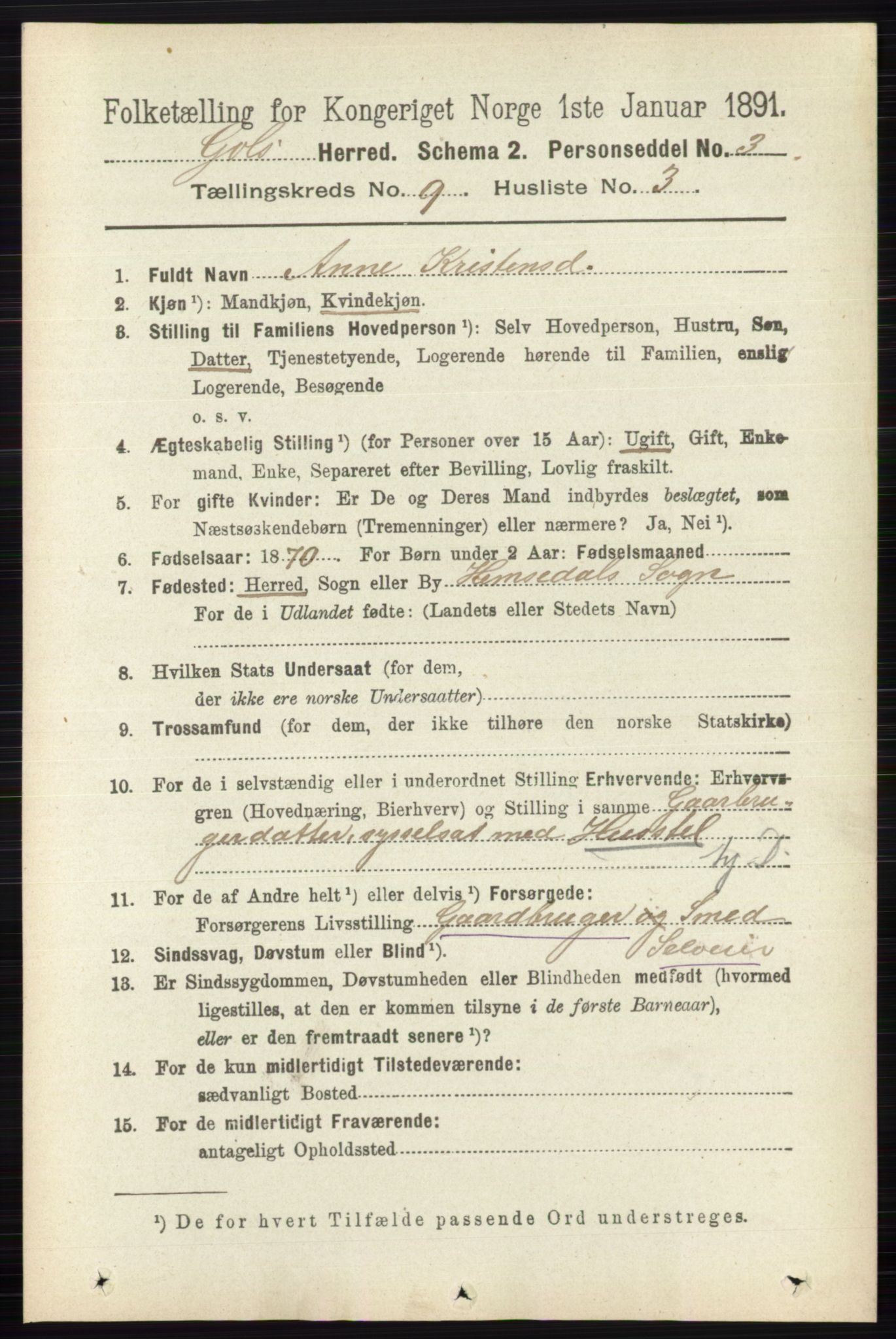 RA, 1891 census for 0617 Gol og Hemsedal, 1891, p. 3409