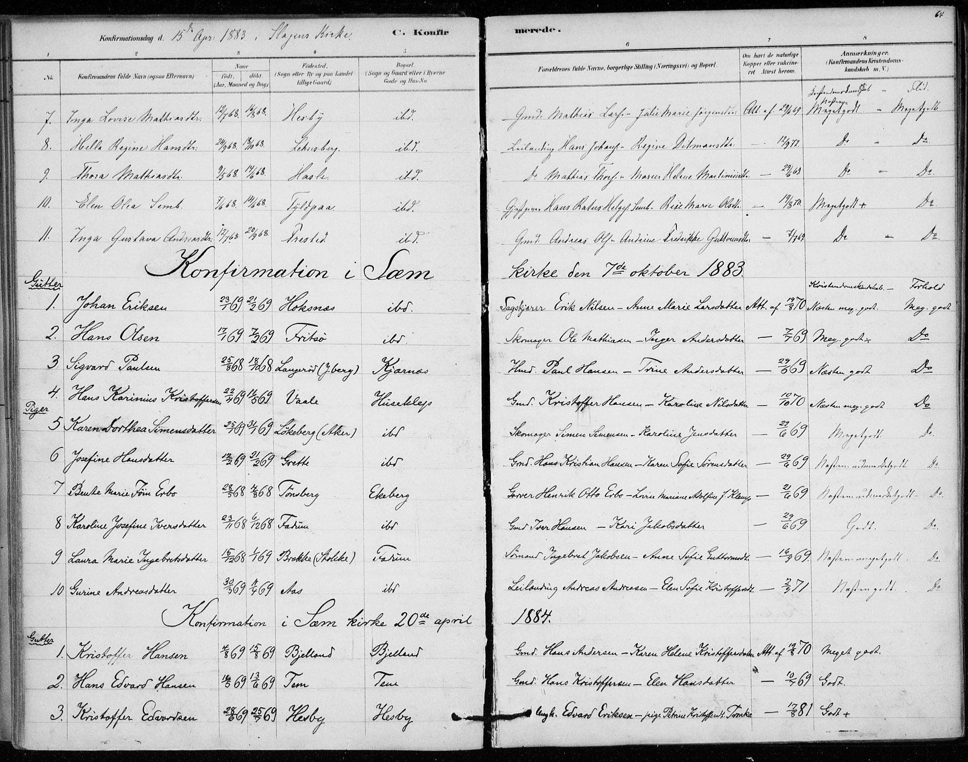 Sem kirkebøker, SAKO/A-5/F/Fa/L0010: Parish register (official) no. I 10, 1878-1887, p. 64