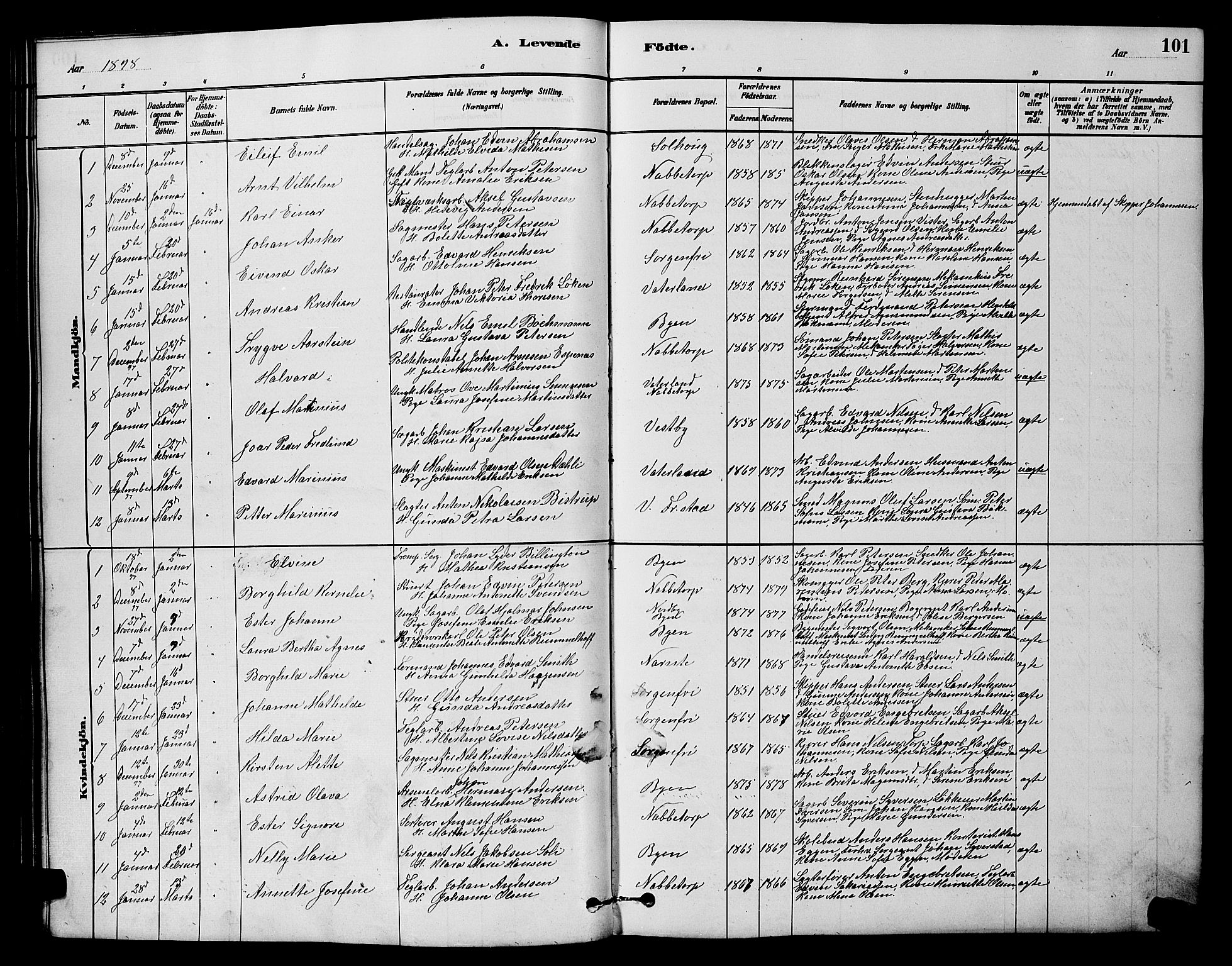 Østre Fredrikstad prestekontor Kirkebøker, AV/SAO-A-10907/G/Ga/L0001: Parish register (copy) no. 1, 1880-1899, p. 101