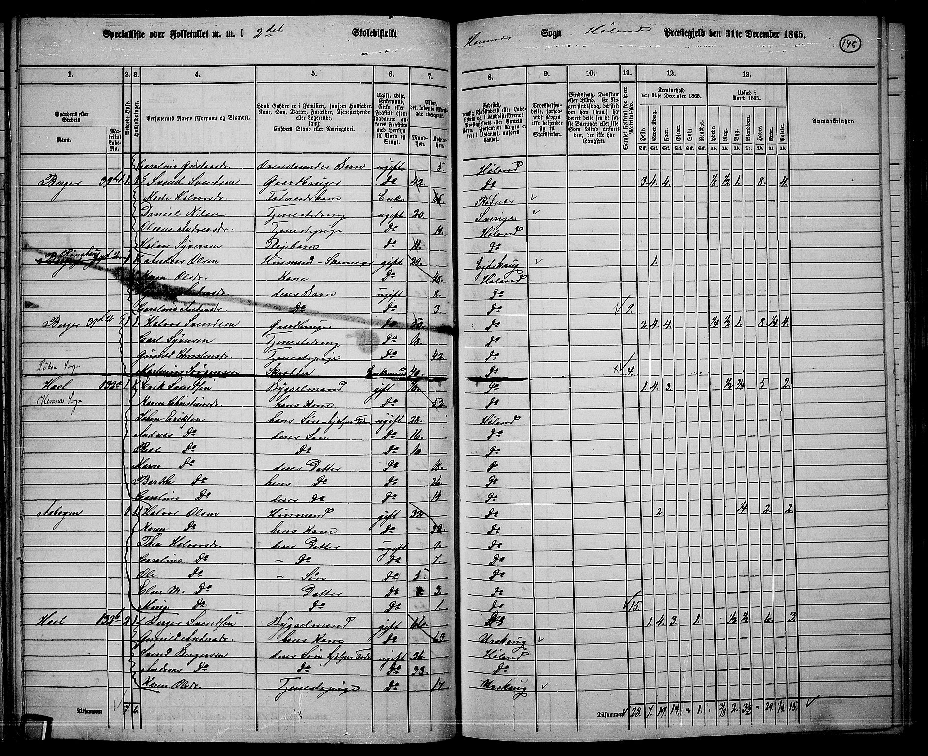 RA, 1865 census for Høland, 1865, p. 136